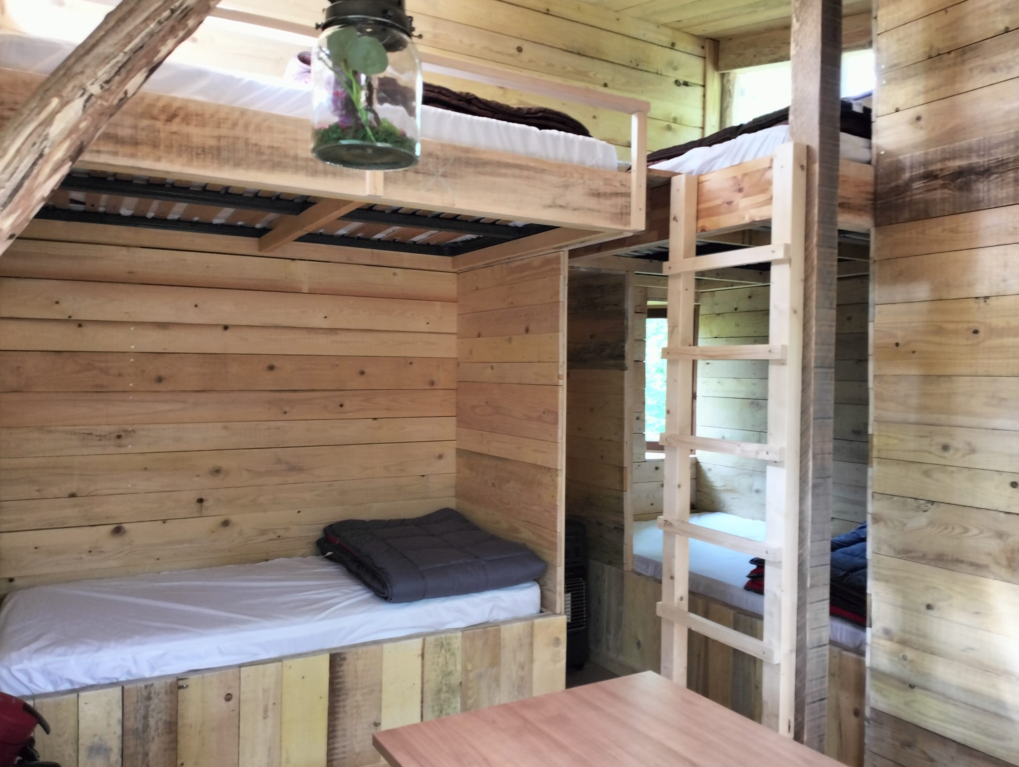 Cabane Trappeur : une expérience immersive dans les arbres à Ranchot — vue intérieure