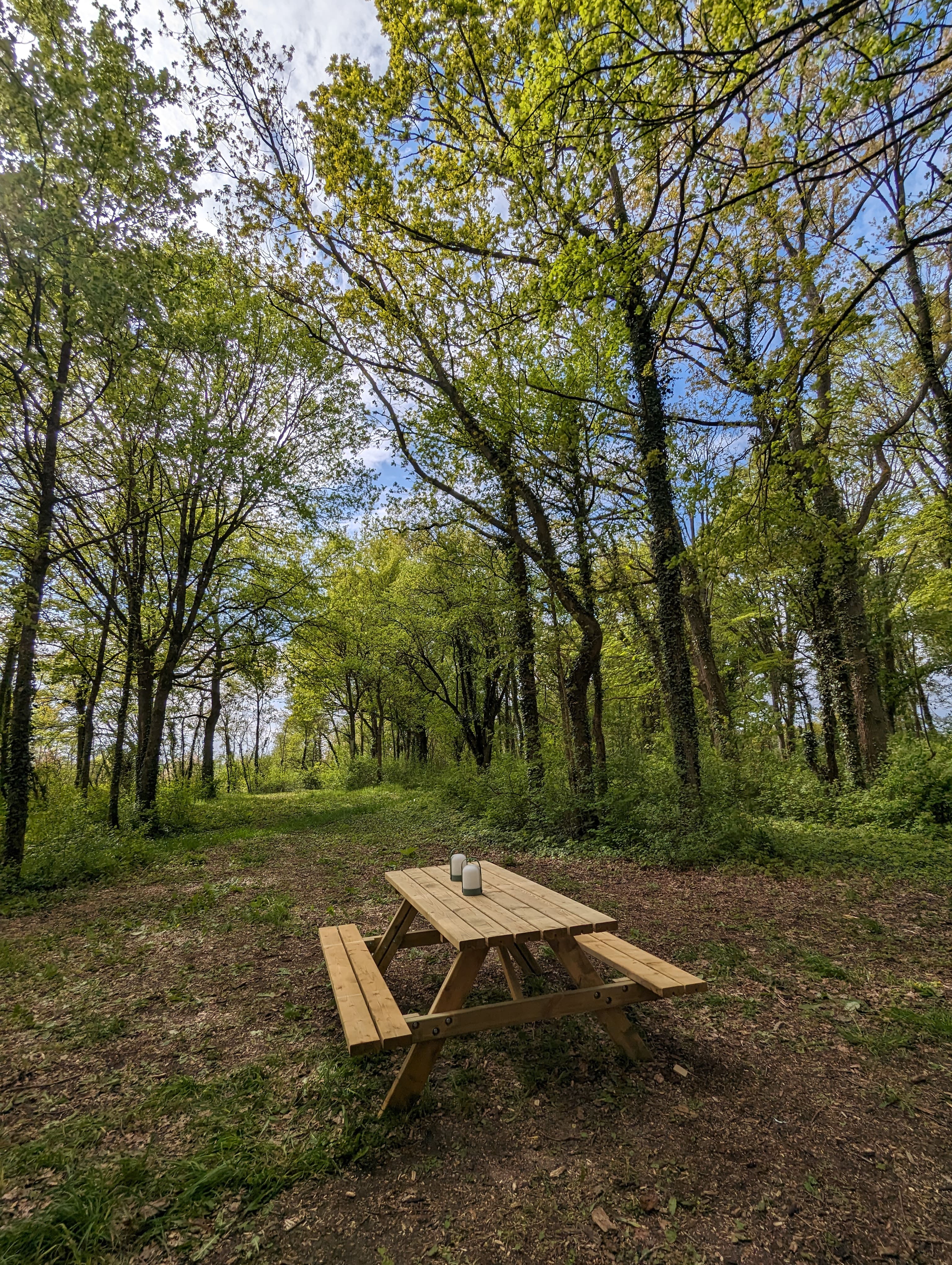 Tiny House La Clairière : une évasion moderne en pleine nature à Sonchamp — détail architectural
