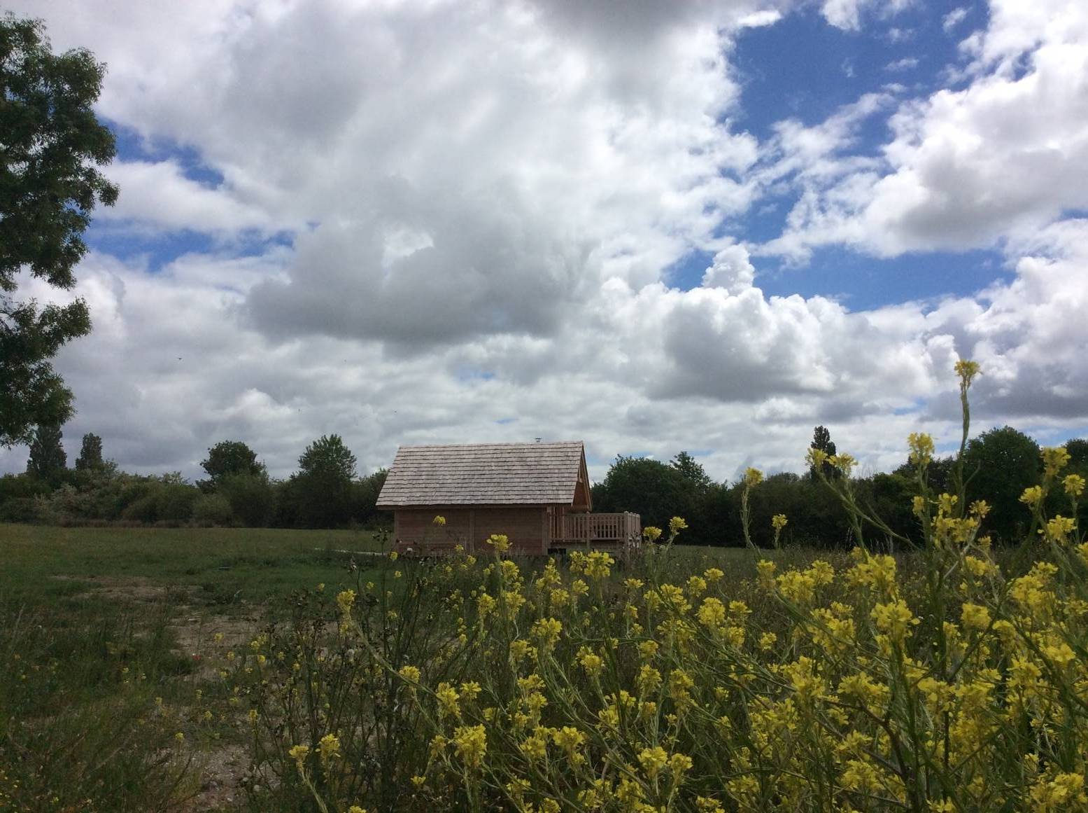 La Cabane Léonie : une expérience unique sur pilotis en Aquitaine — Cabane à Berson