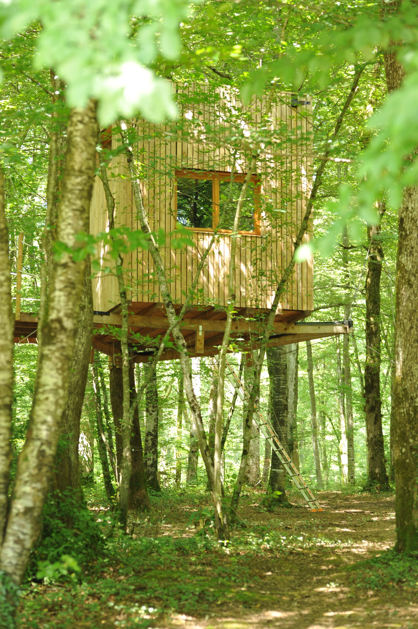 Cabane Ecureuil : une expérience suspendue dans les arbres à Mont Sous Vaudrey — chambre