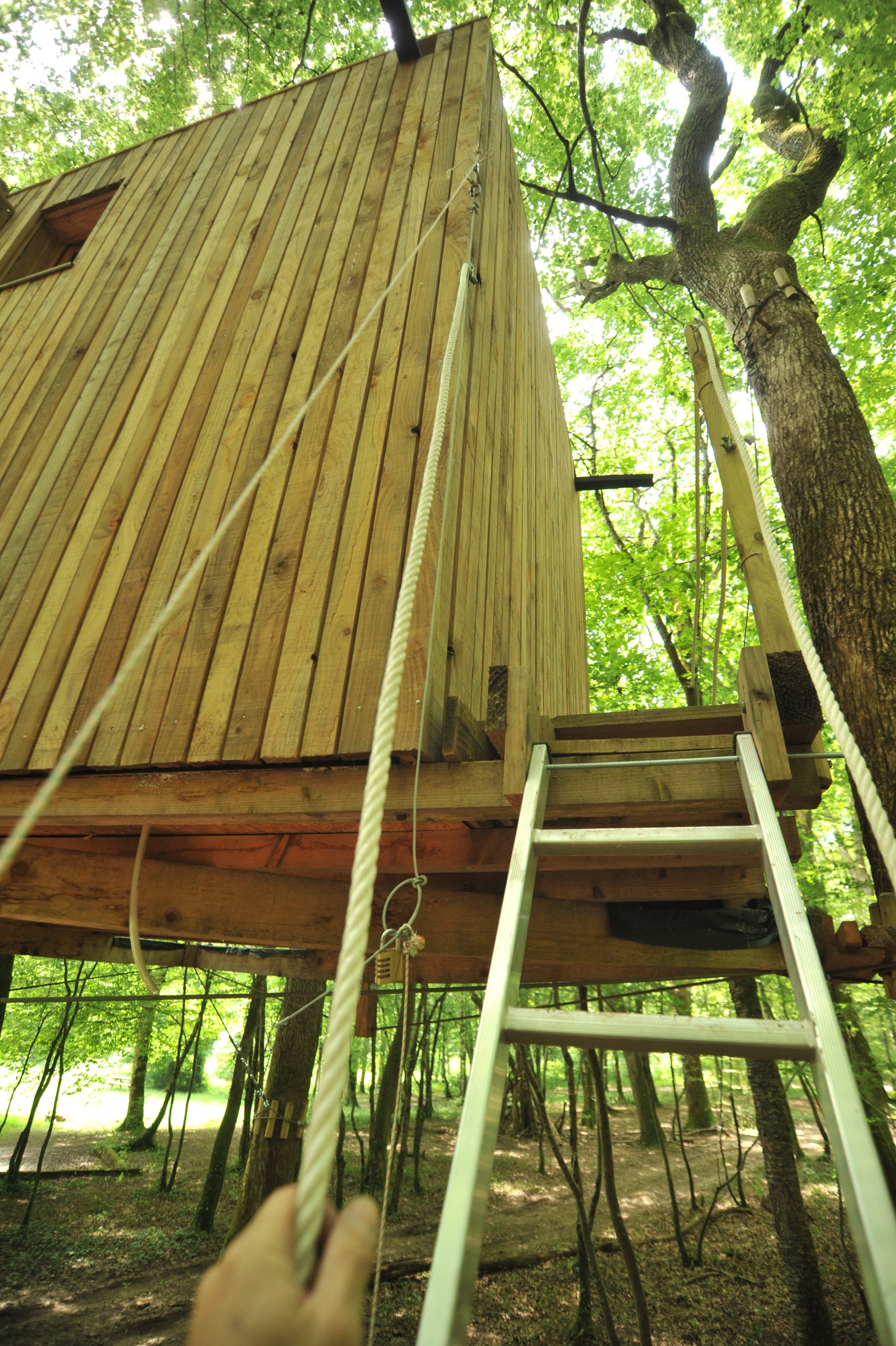 Cabane Ecureuil : une expérience suspendue dans les arbres à Mont Sous Vaudrey — vue depuis la terrasse