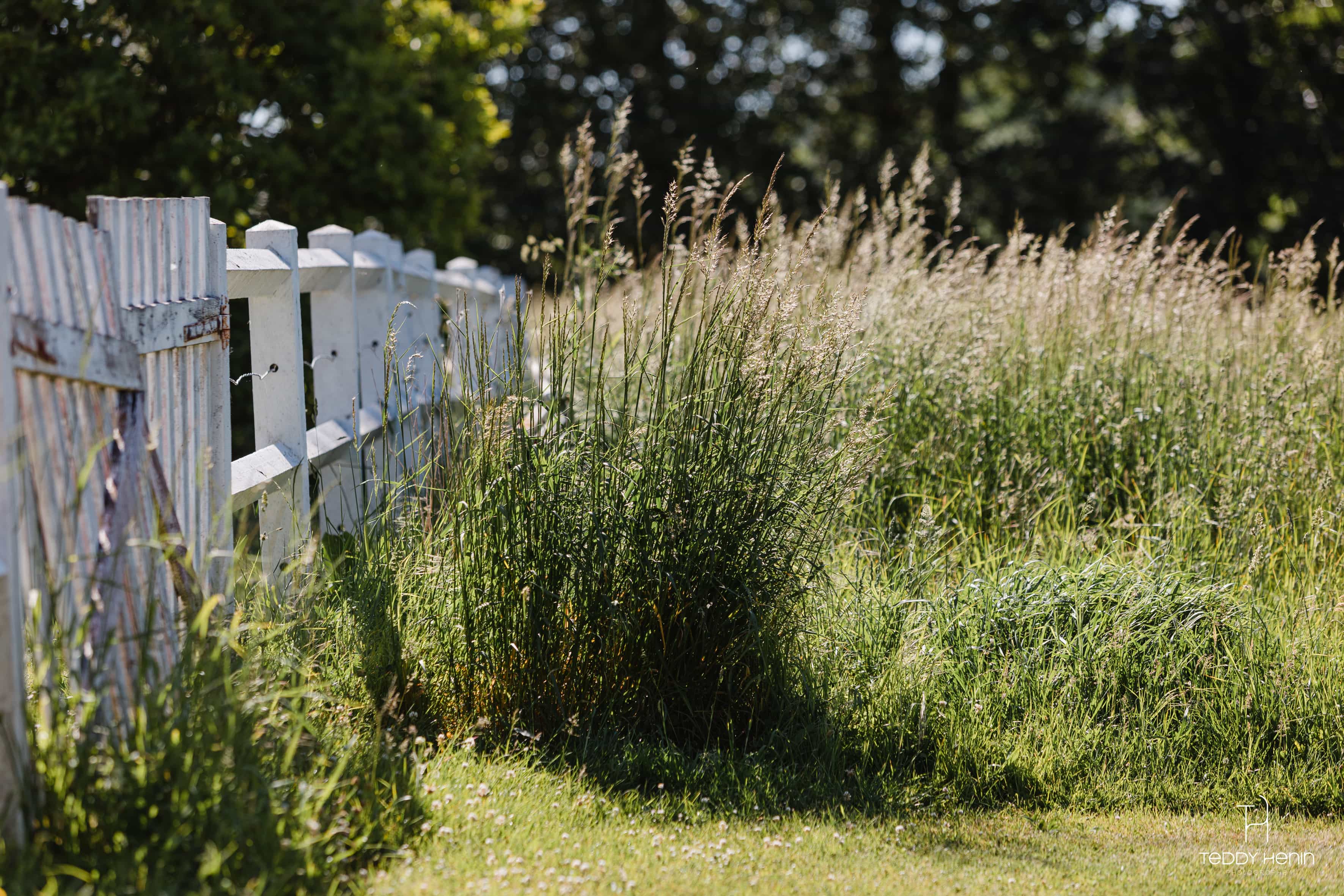 Le Cottage avec Spa privé — Maison insolite à Somme à Amiens — détail architectural