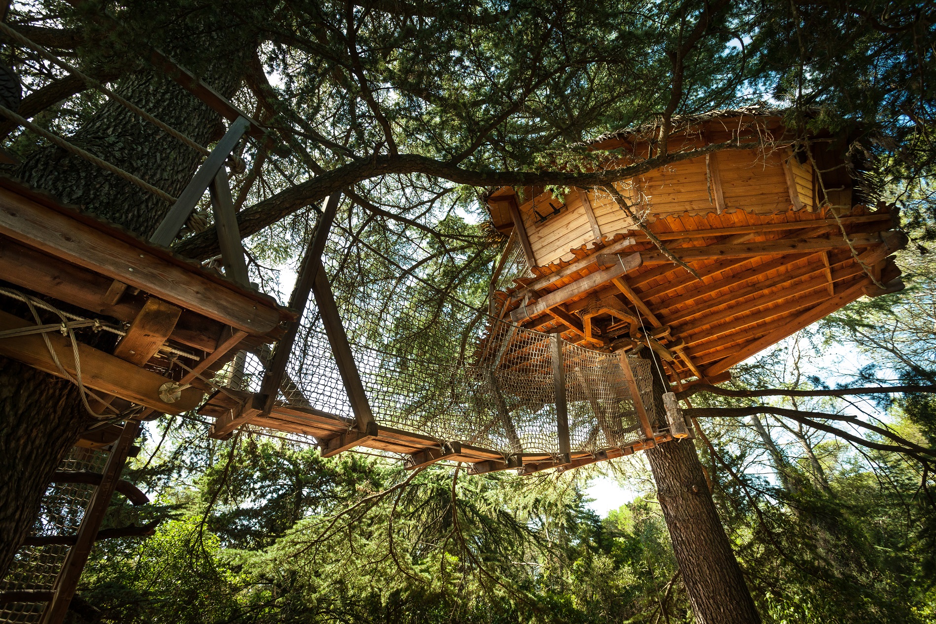 Grand Duc & Spa Privatif — Cabane dans les arbres à Hérault à Béziers — vue intérieure