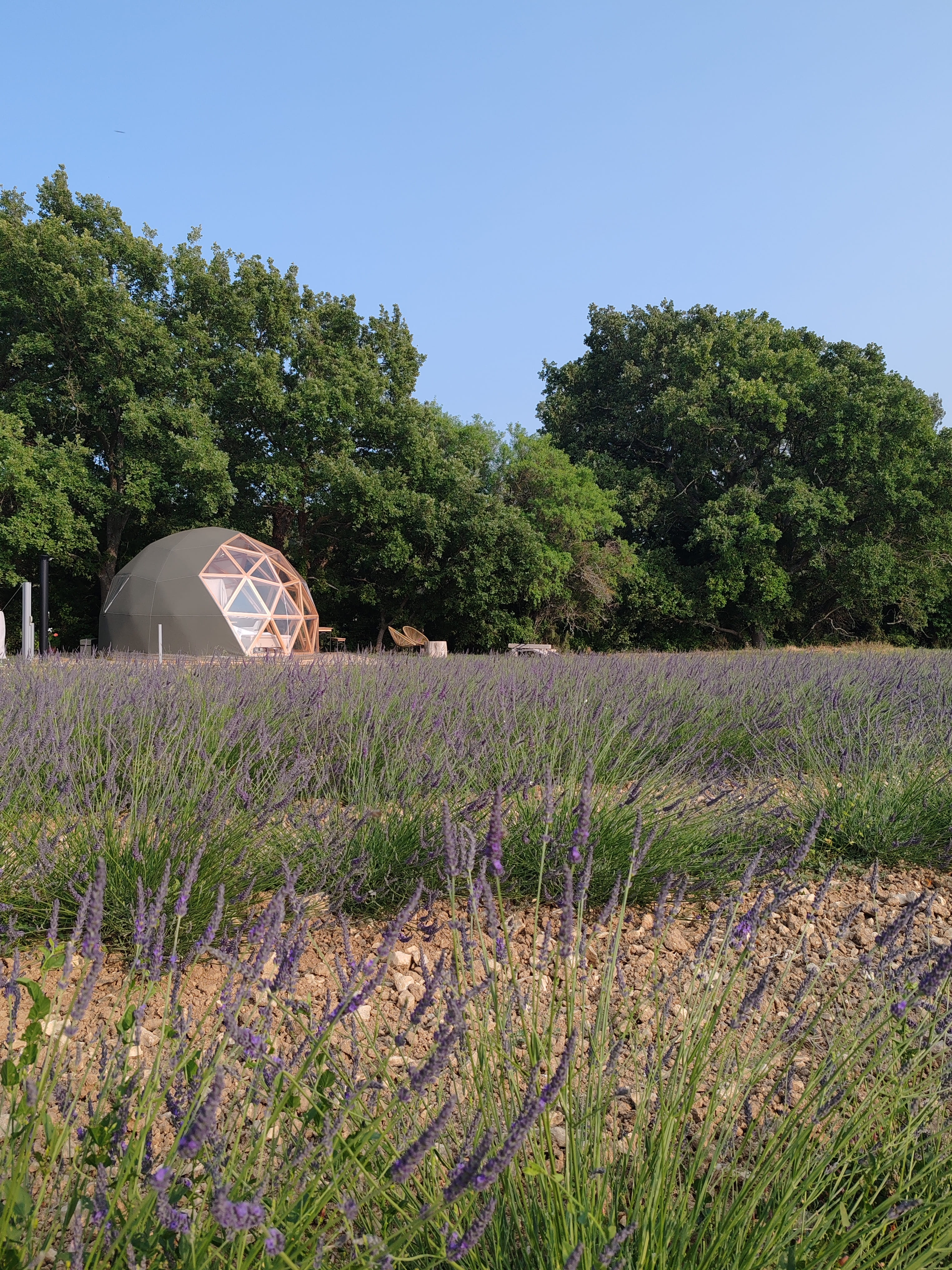 La Bulle du Lavandin — Nuit étoilée avec spa à Bouches-du-Rhône à Aix-en-Provence — salle de bain