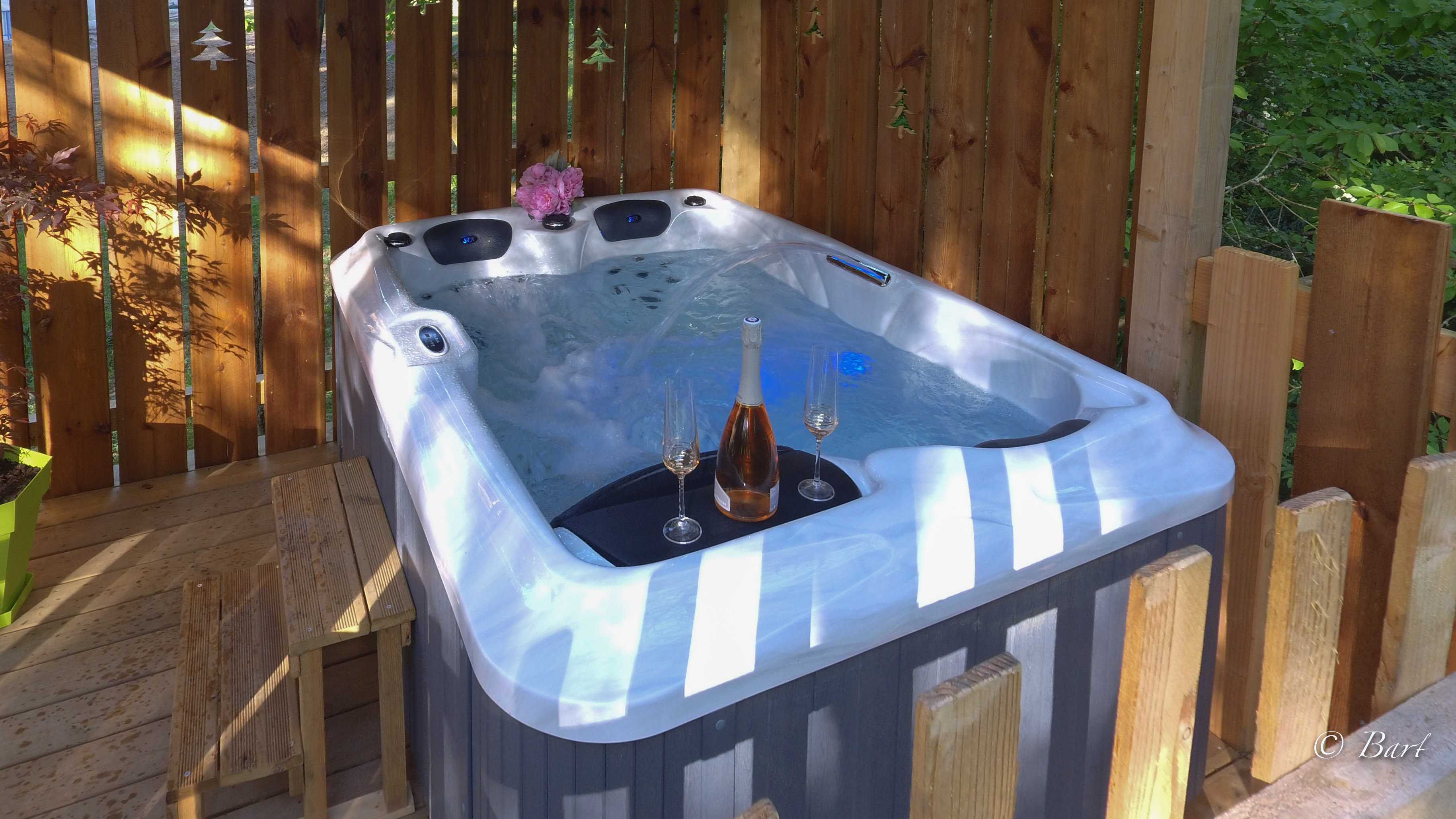 La Cabane Pêcheur de Lune & Spa — Cabane dans les arbres avec spa à Dordogne à Coursac — espace de vie
