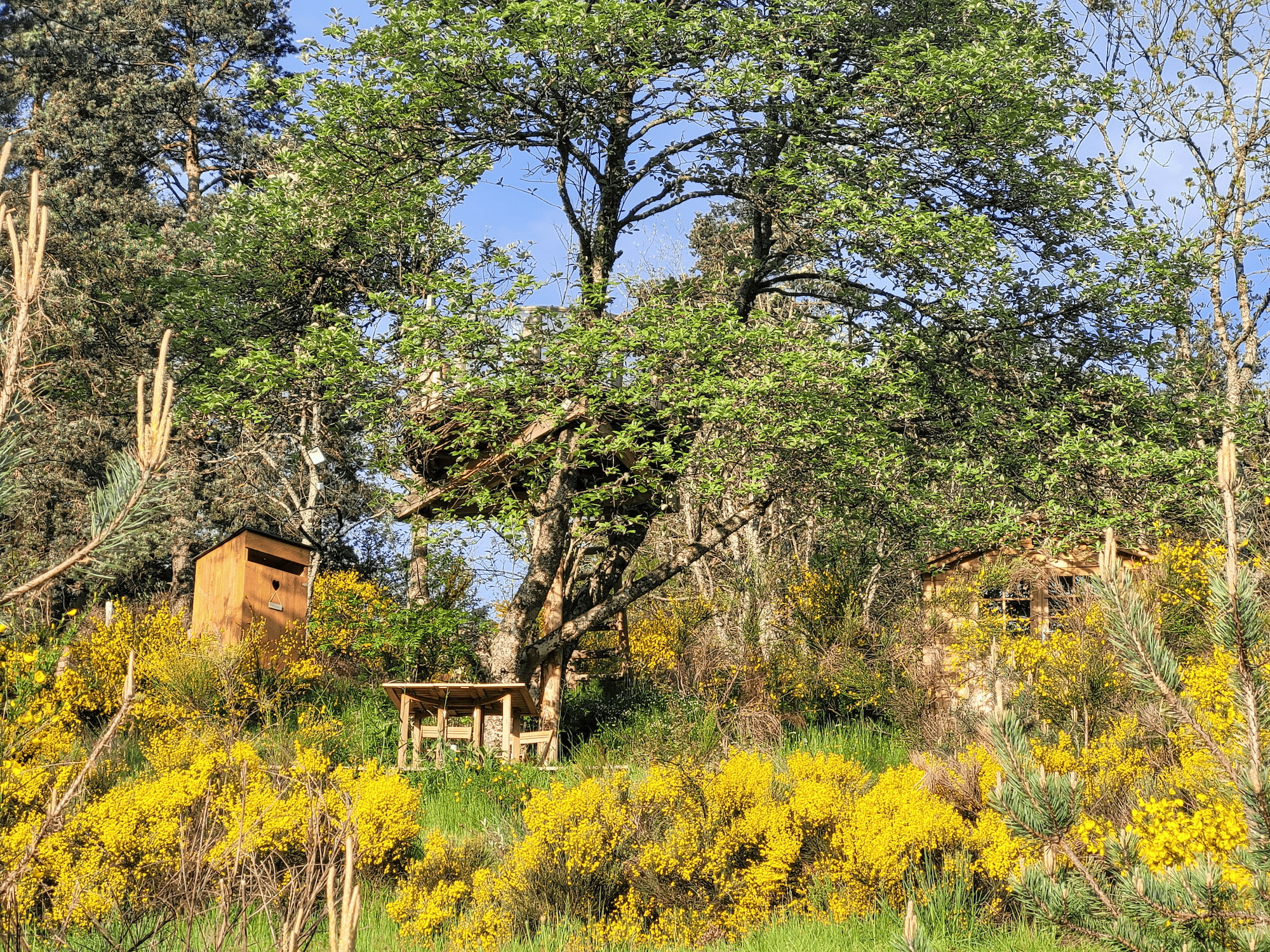 Le Nid : une cabane dans les arbres au cœur de la nature ardéchoise à Rochepaule — détail architectural