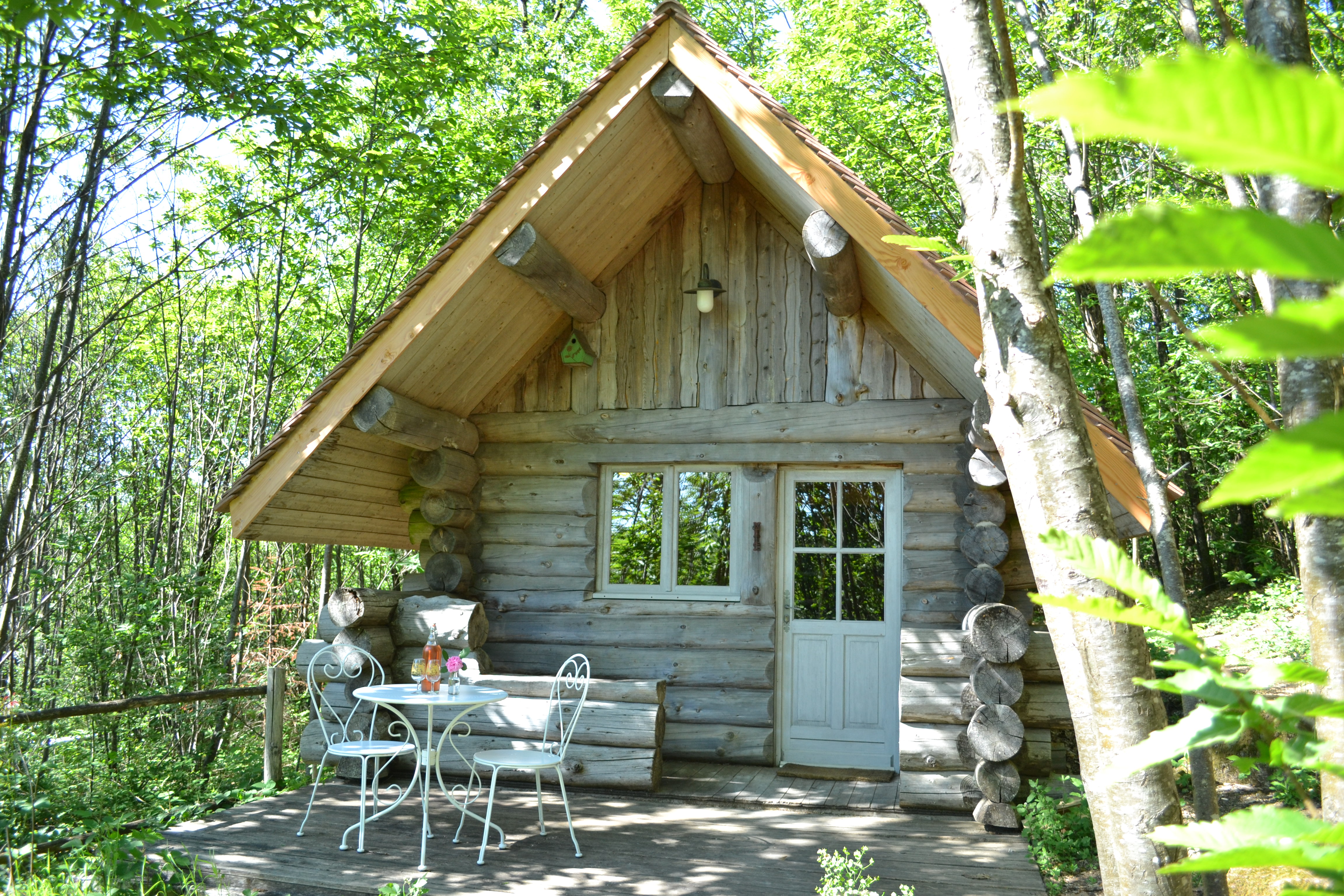 Chalet en rondins — Escapade nature avec spa à Haute-Vienne