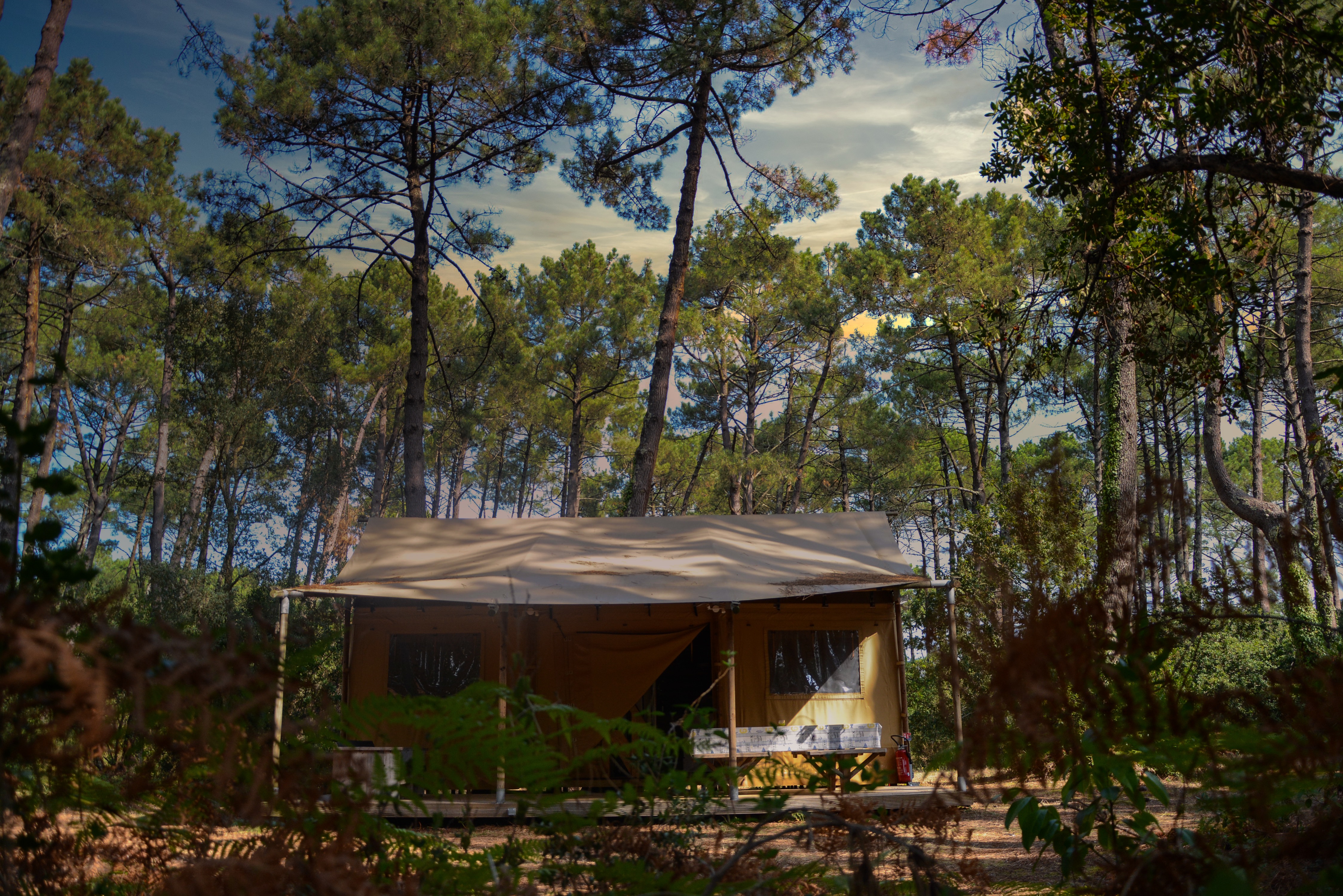 Le Grand Lodge — Tente lodge avec spa à Biscarrosse (Landes)