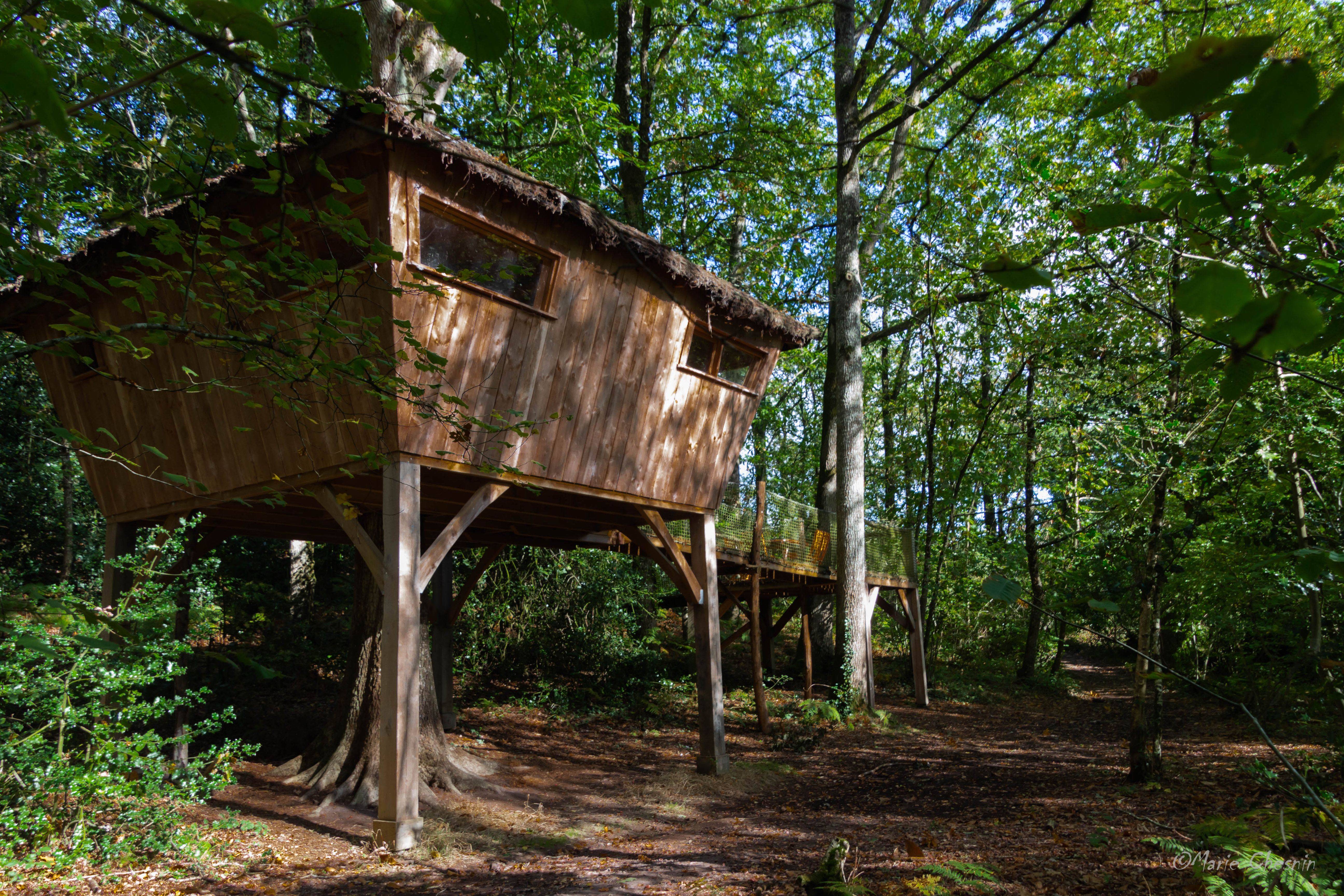 Cabane Mésange — Cabane sur pilotis à 8m en Mayenne
