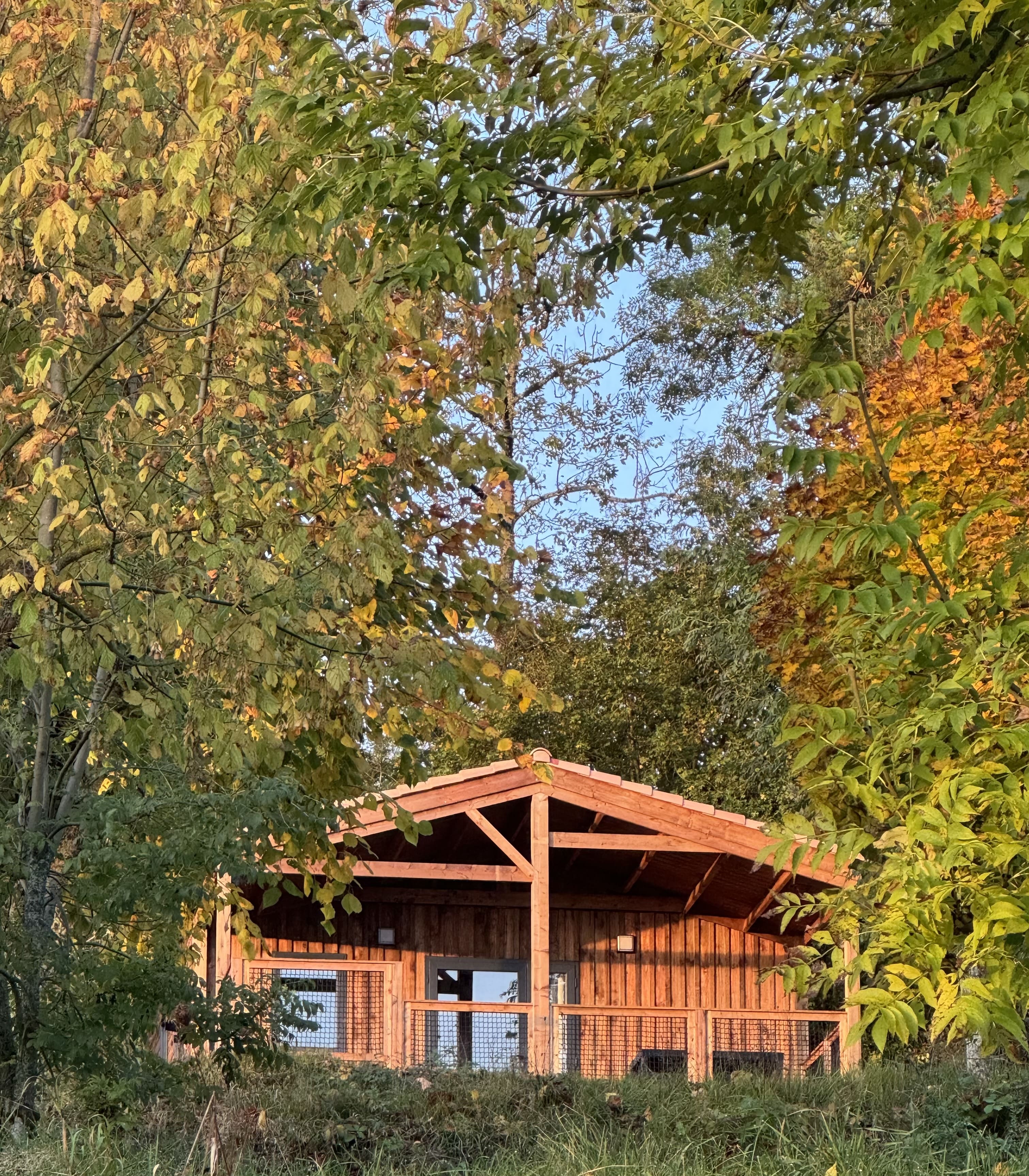 Chalet tout confort Le Cerf : une évasion au cœur de l'Auvergne à Neuveglise-Sur-Truyère — espace de vie