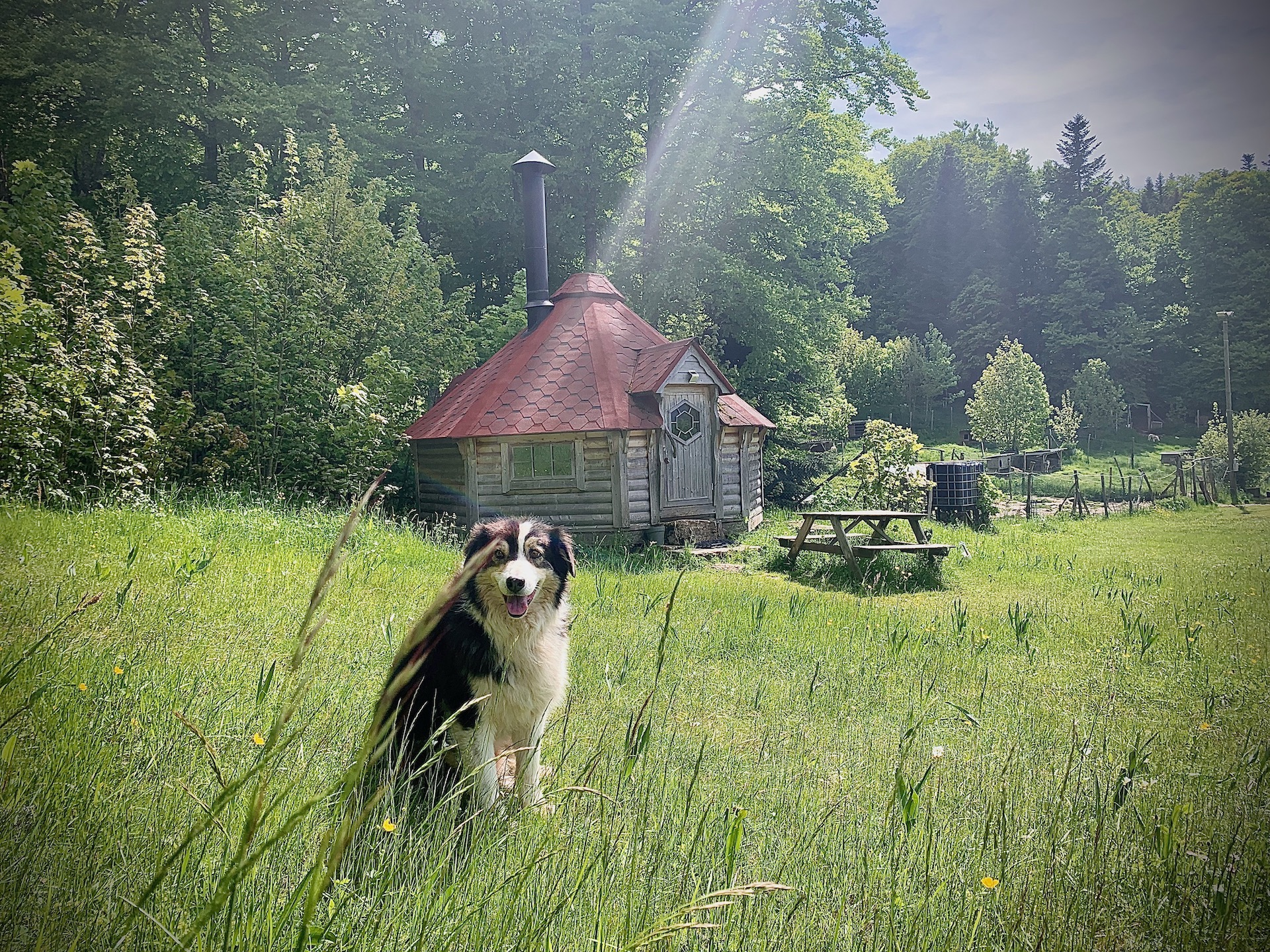 Kota 4 Zima : un voyage sensoriel au cœur des huskies à Vassieux-En-Vercors — salle de bain