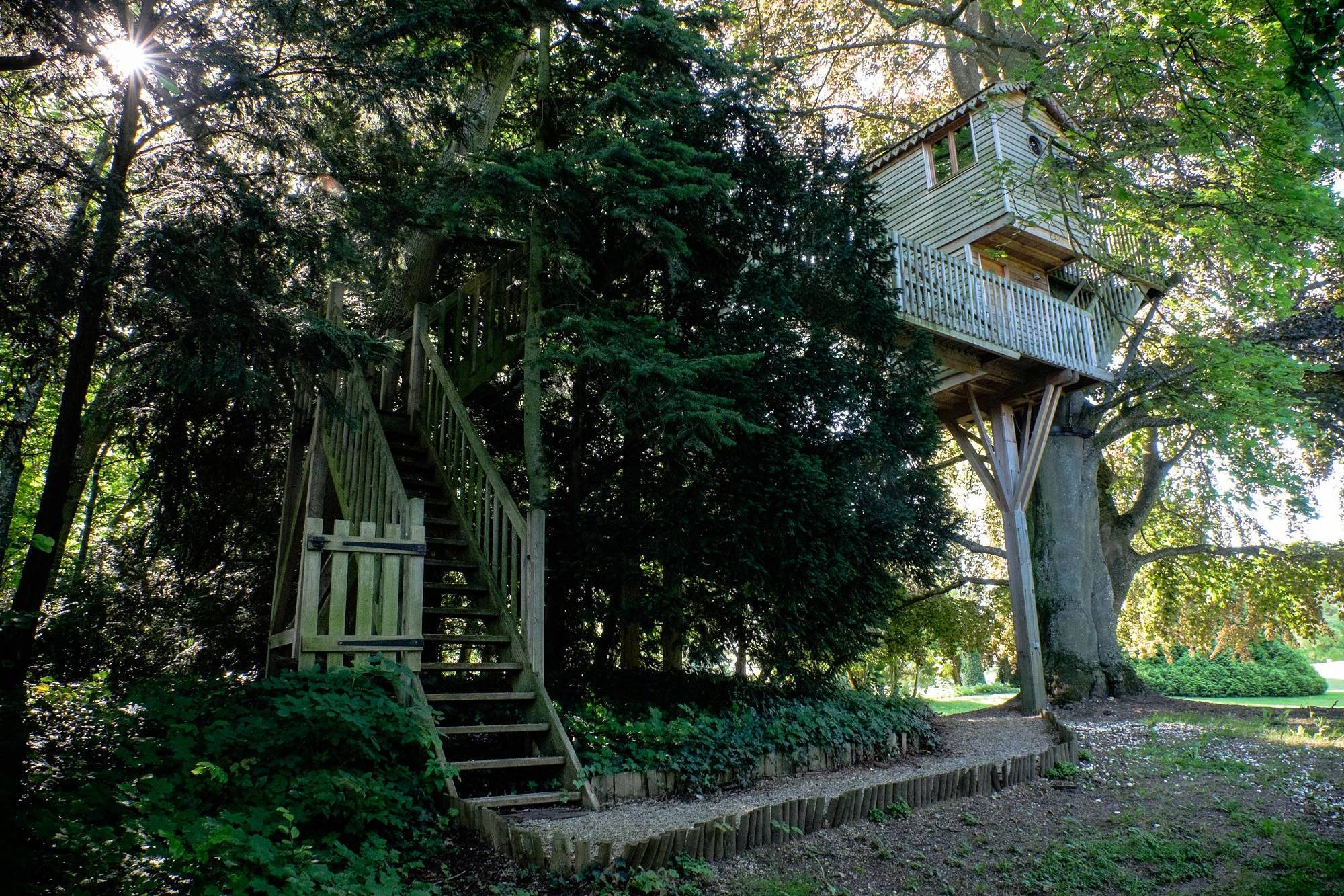Cabane perchée la Canopée — Nuit à 10m de hauteur à Marne