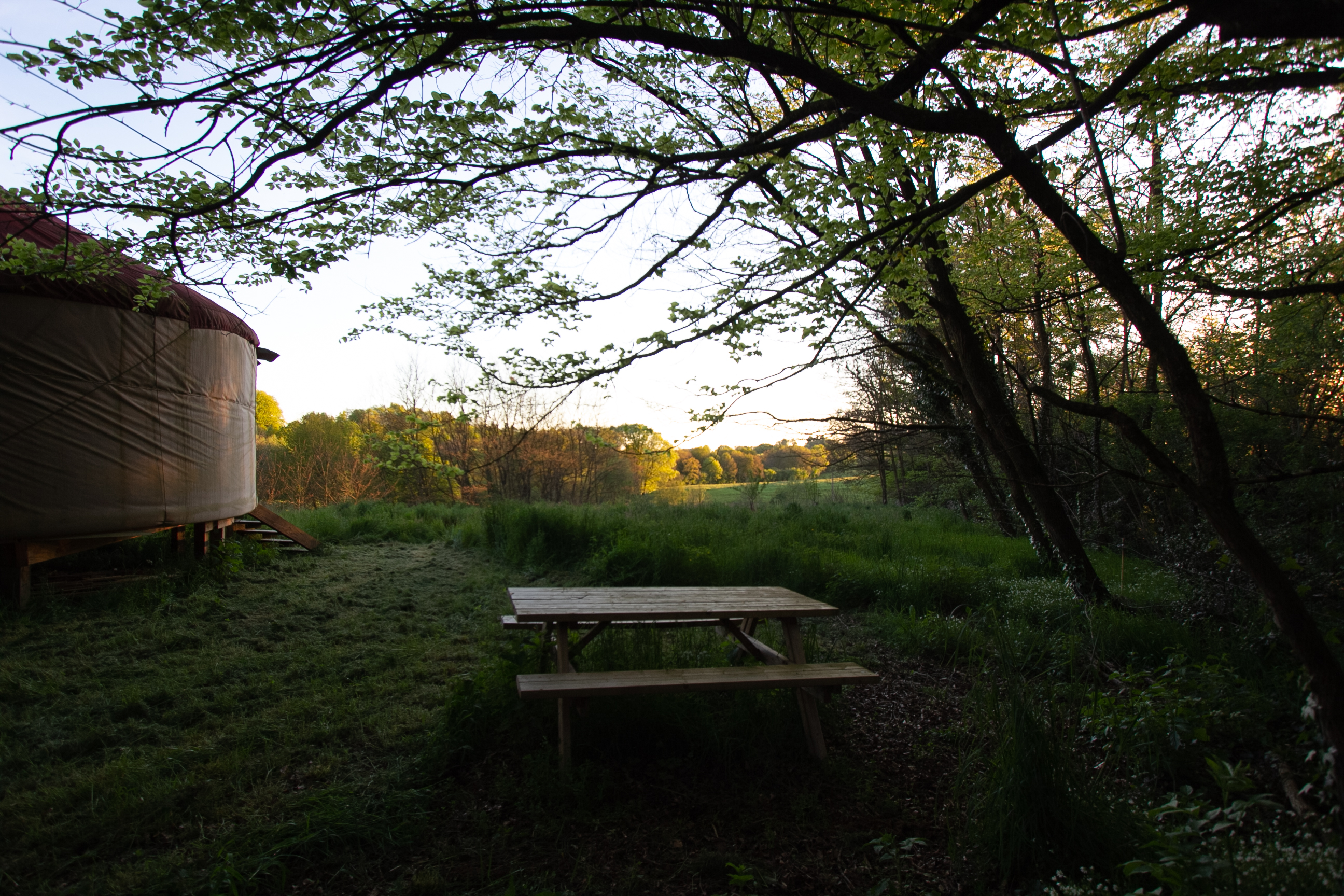 La Main Sauvage — Yourte moderne avec spa en Corrèze à Brive-la-Gaillarde — environnement naturel