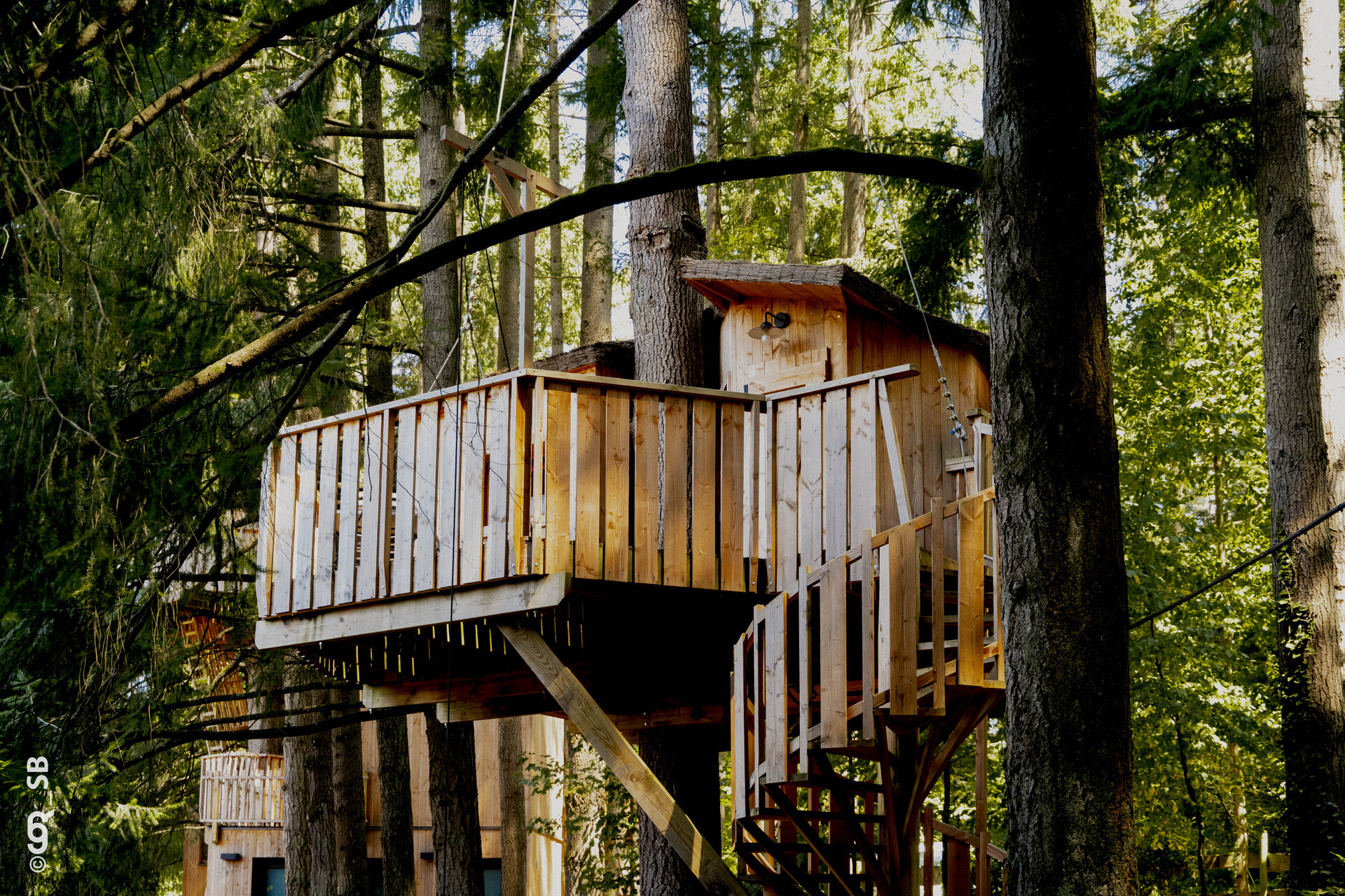 Cabane MOINEAU — Séance de sauna offerte à Rhône