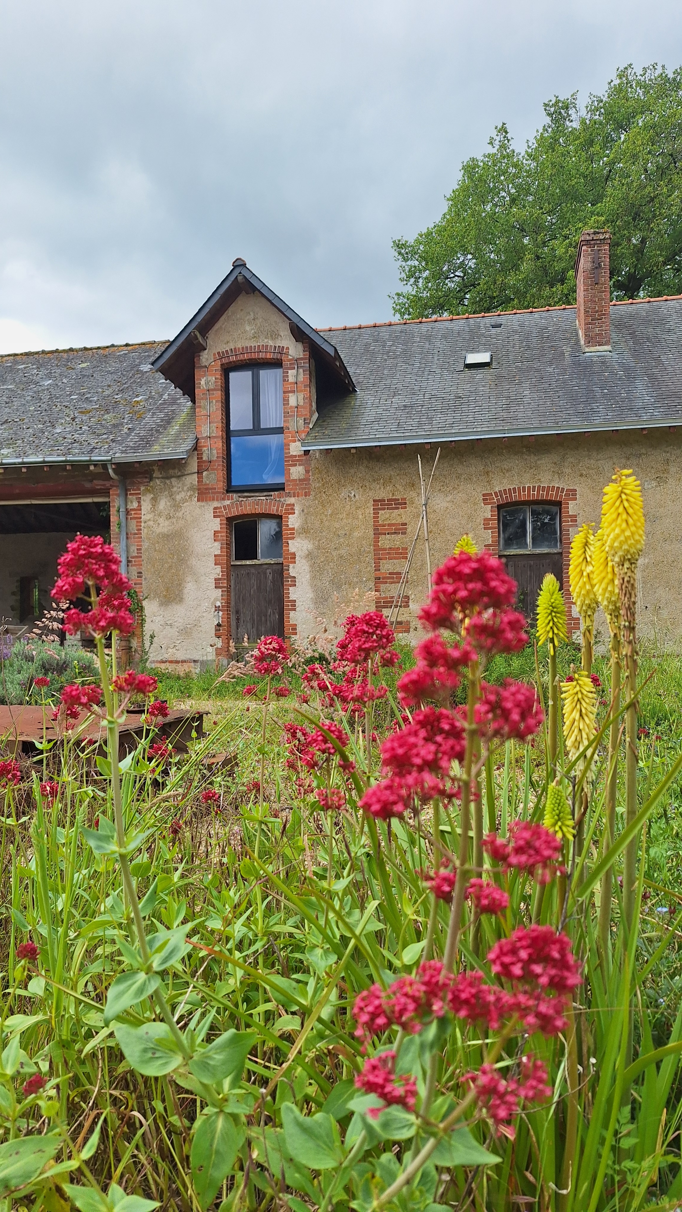 LE LOFT — Hébergement unique à 50m du sol en Maine-et-Loire à Angers — vue intérieure