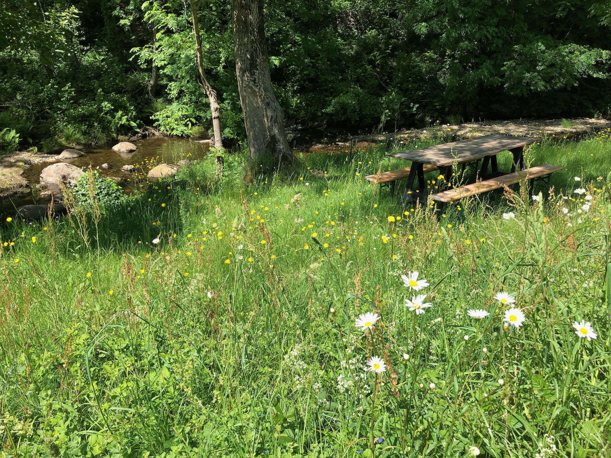 Un dôme secret au cœur de la nature languedocienne à Prémian — détail architectural