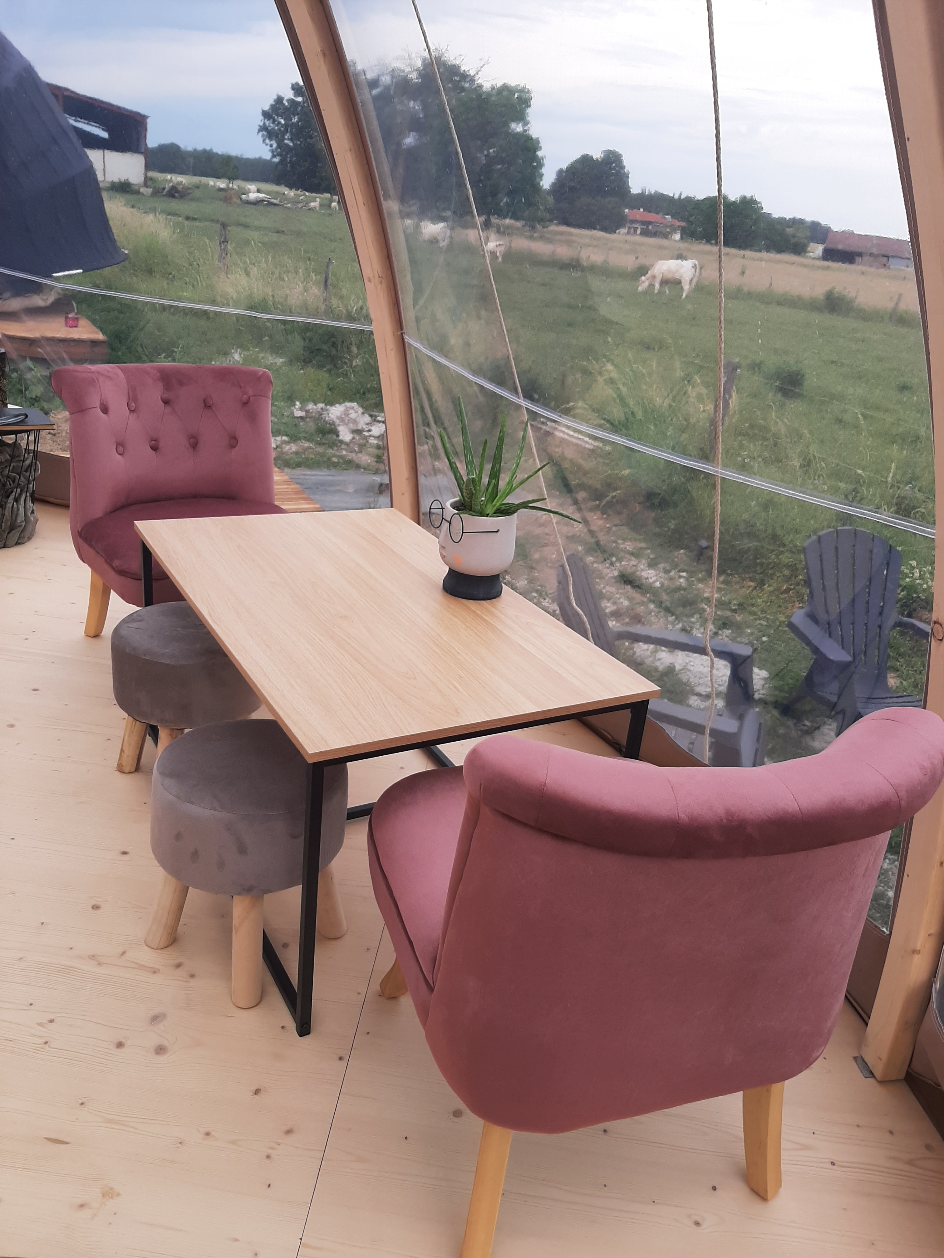 Bulle Gaïa : une expérience insolite en pleine nature à Bailly Le Franc — espace de vie