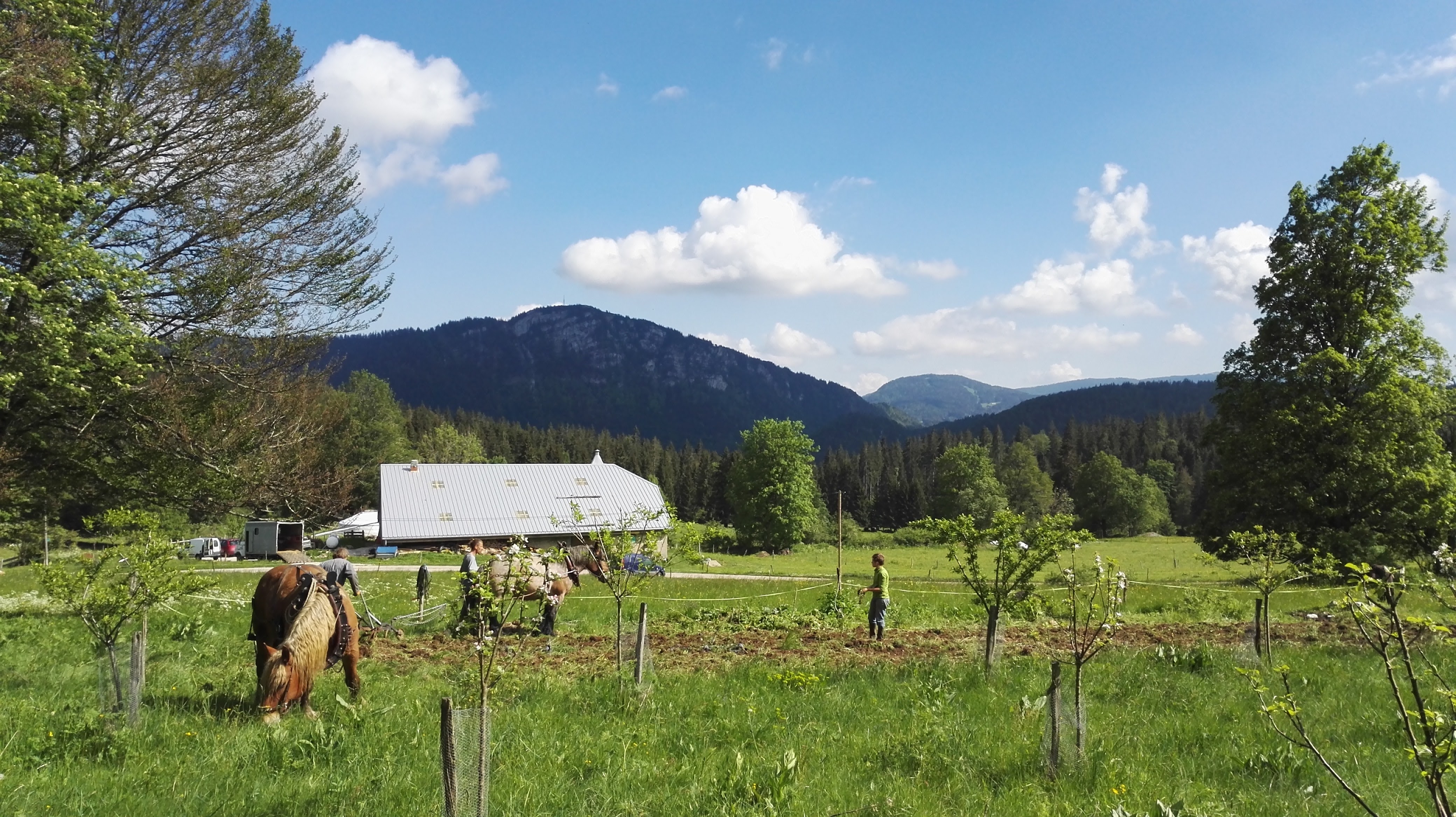 Séjournez dans une yourte bosquet en Franche-Comté à Rochejean — vue depuis la terrasse