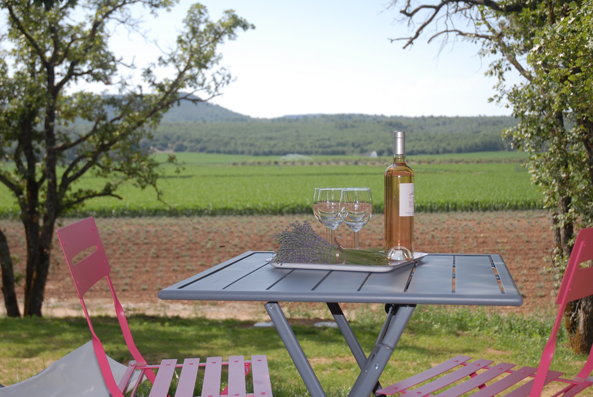 Le Pod de l'Adret : une expérience immersive en pleine nature à Rians — vue intérieure