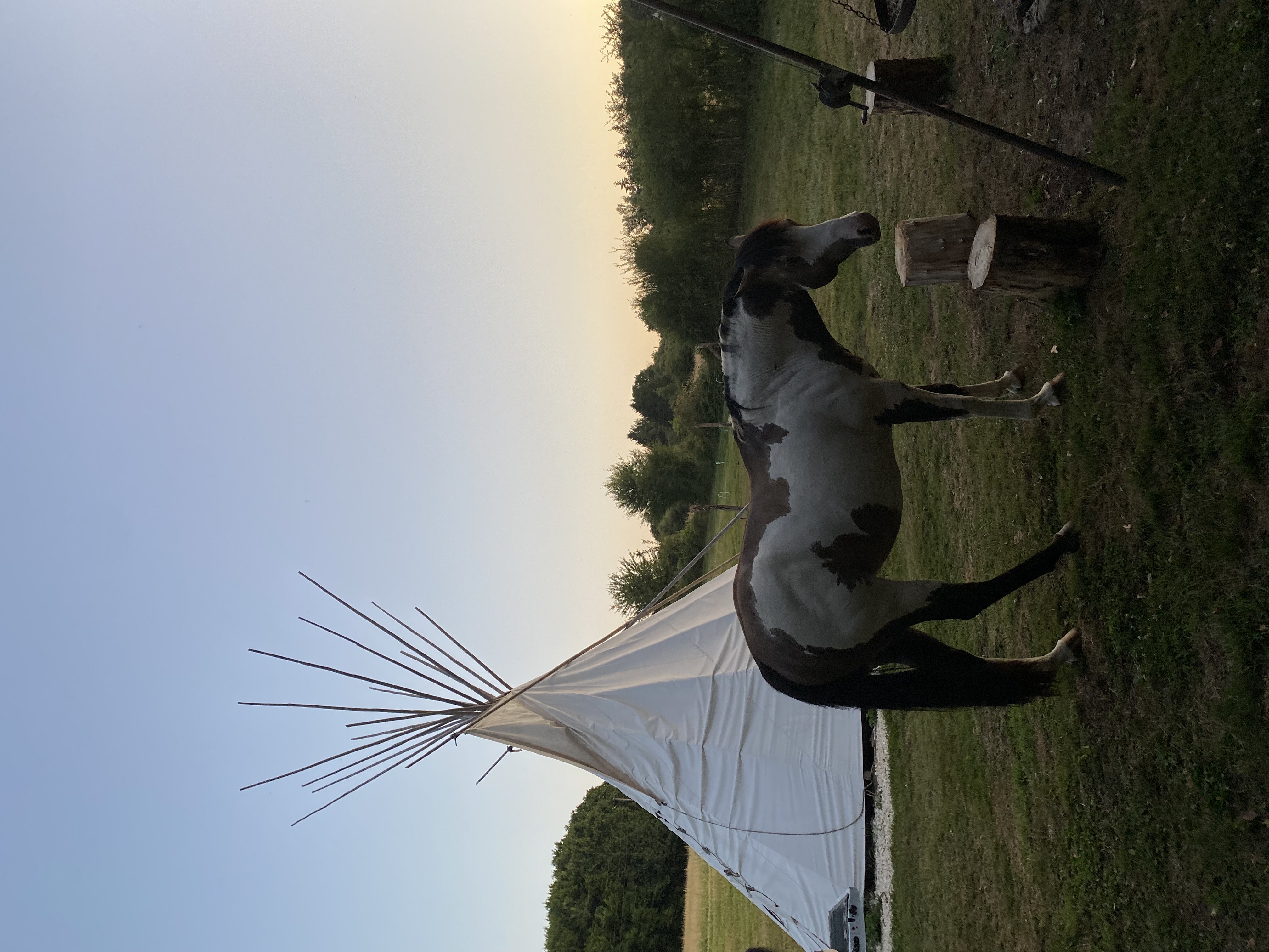 Tipi Lakota — Expérience authentique au bord d'un ruisseau en Nièvre
