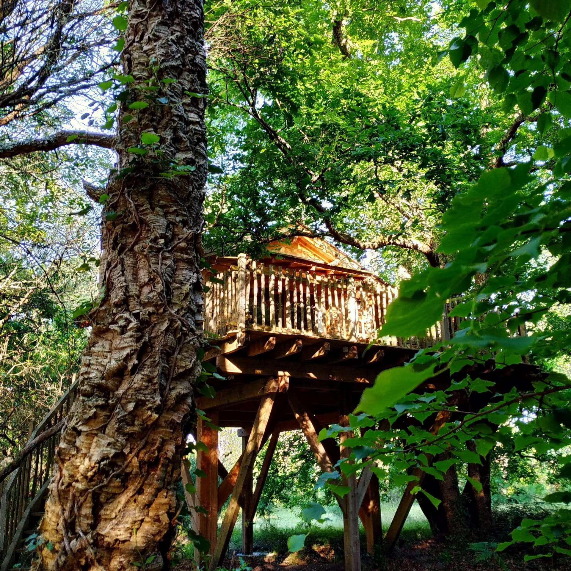 La Cabane Perchée d'Hossegor — Cabane dans les arbres à 4m de hauteur dans les Landes