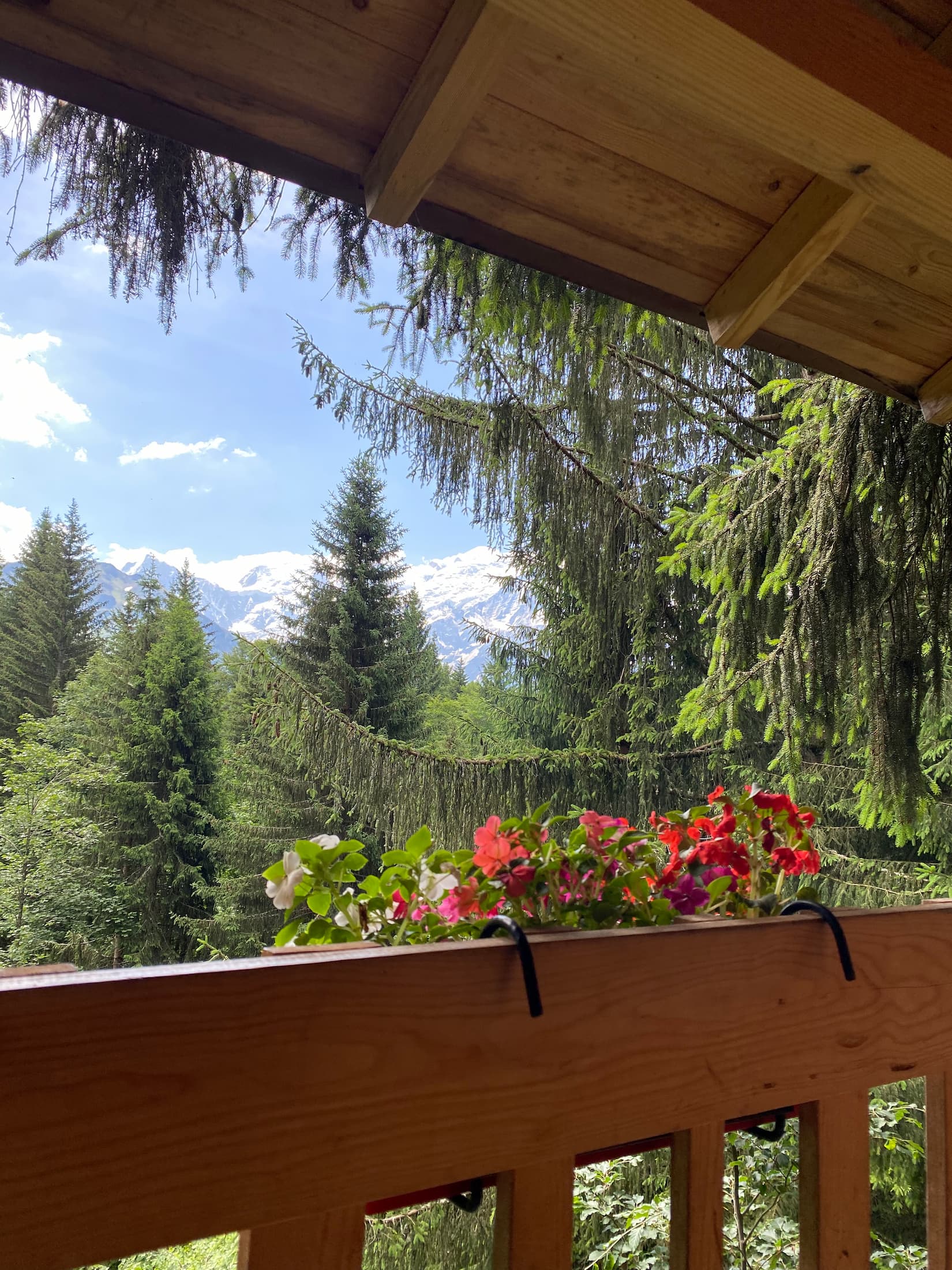 Cabane la Marmotte — Nuit perchée à 8m face au Mont Blanc en Haute-Savoie à Saint-Félix — vue intérieure
