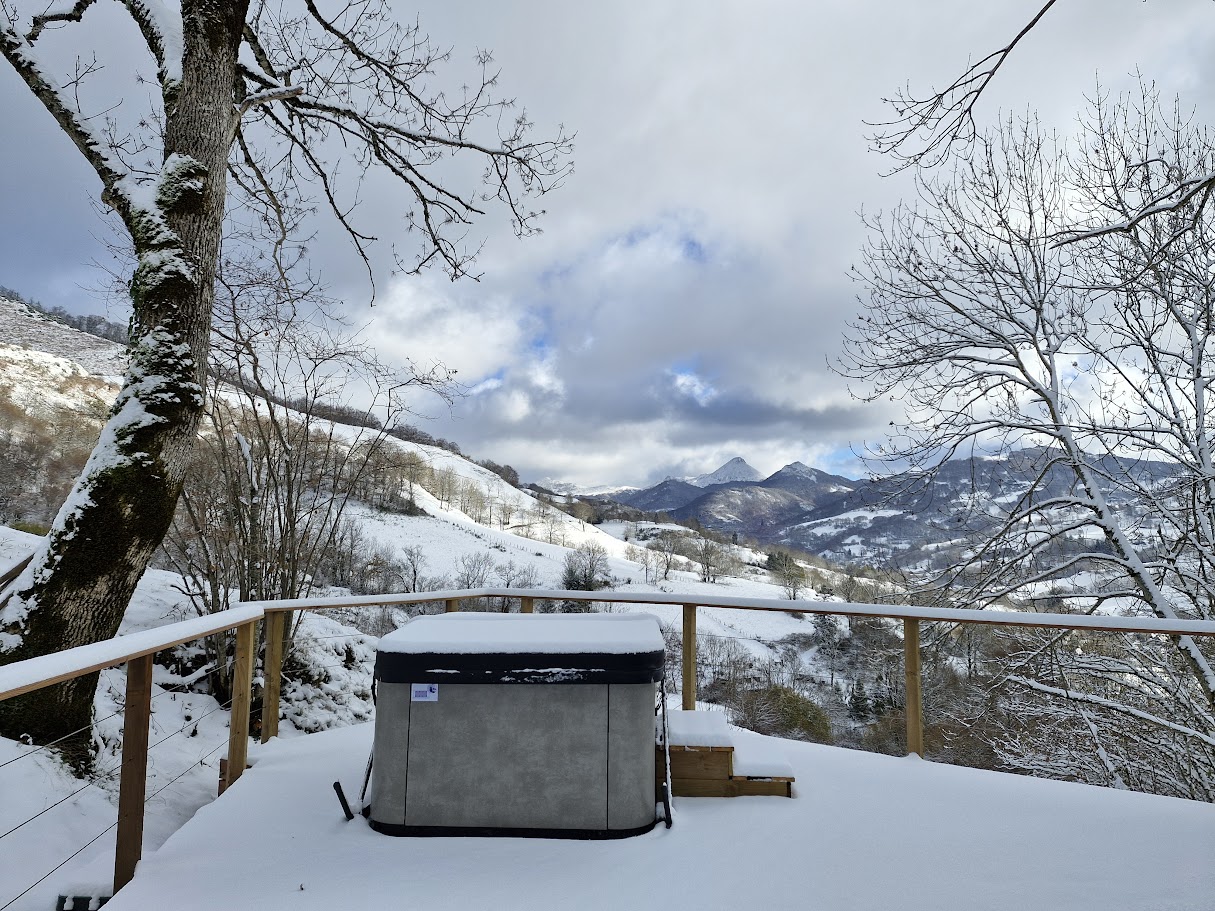 Bulle de neige et nature — Dôme avec spa à Cantal à Saint-Jacques-des-Blats — détail architectural