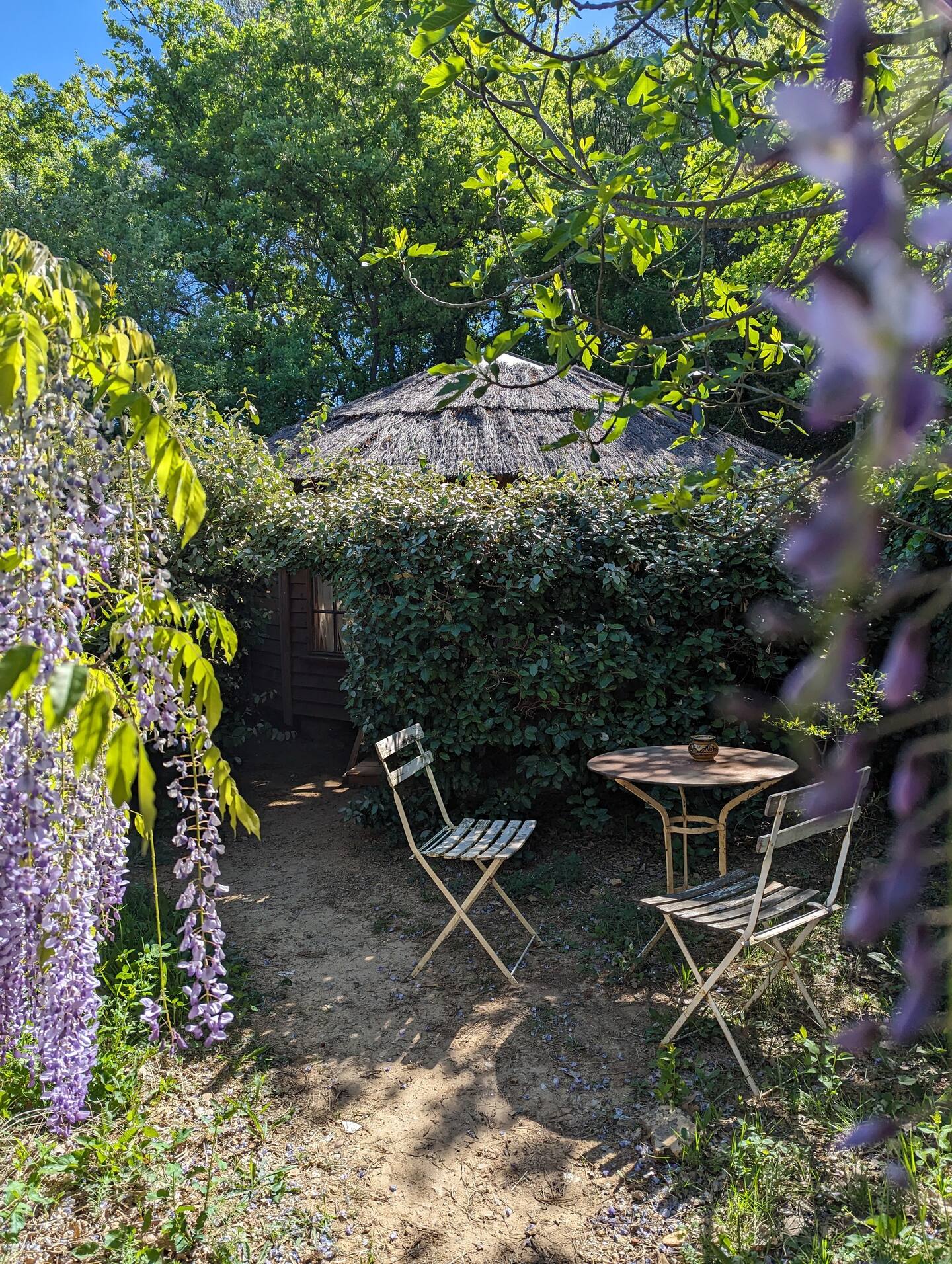 Cabayourte en Ecolieu — Yourte avec spa à La Mauvaise Herbe, Var à La Mauvaise Herbe — espace de vie