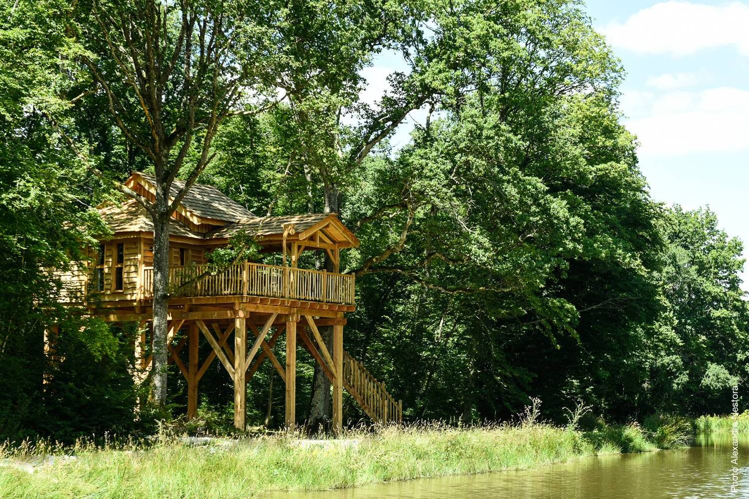 La Cabane de l'Etang & Spa : une évasion dans les arbres à La Bussiere — chambre