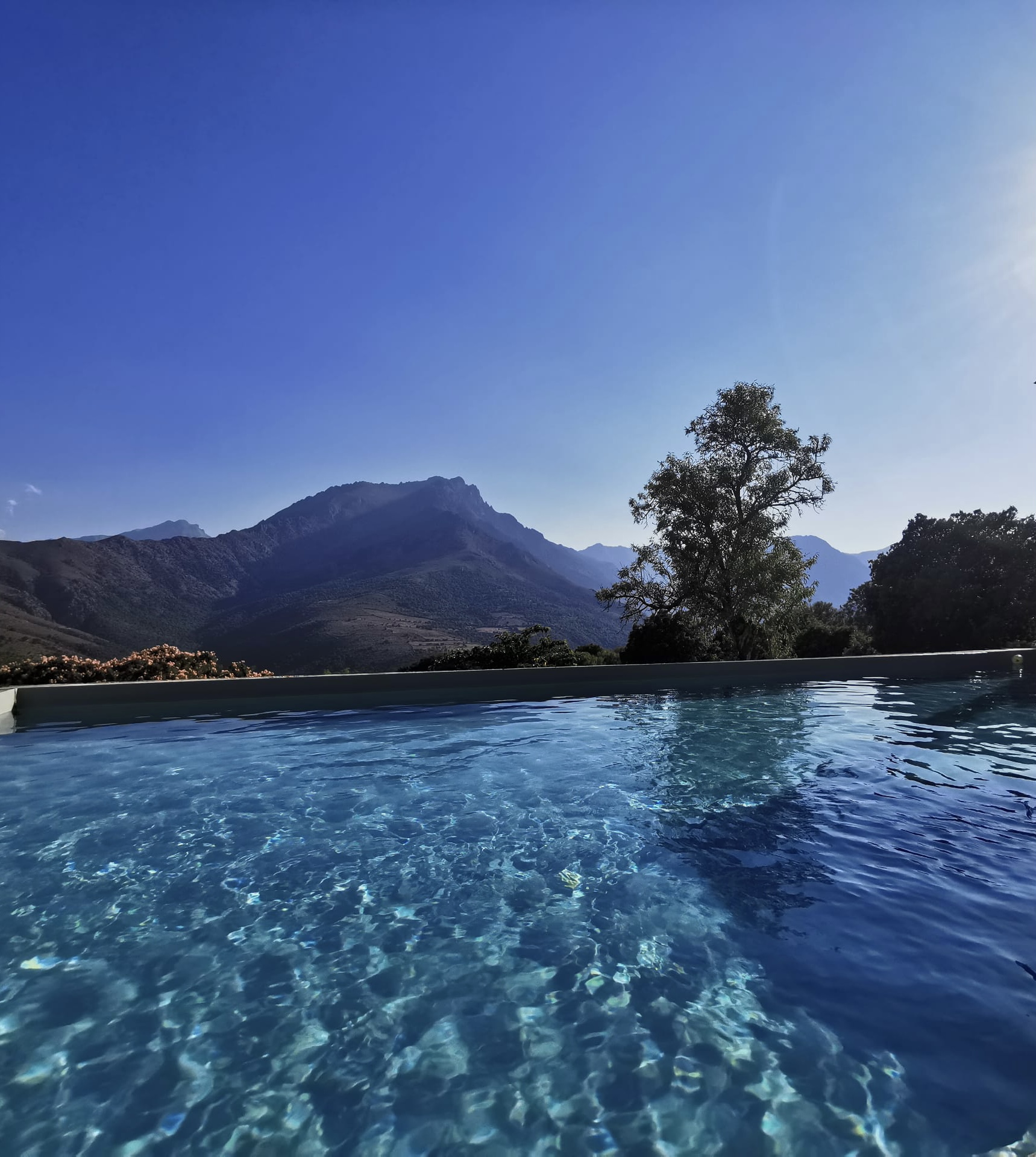 Dôme étoilé & Spa privatif — Nuit sous les étoiles en Haute-Corse à Bastia — cuisine