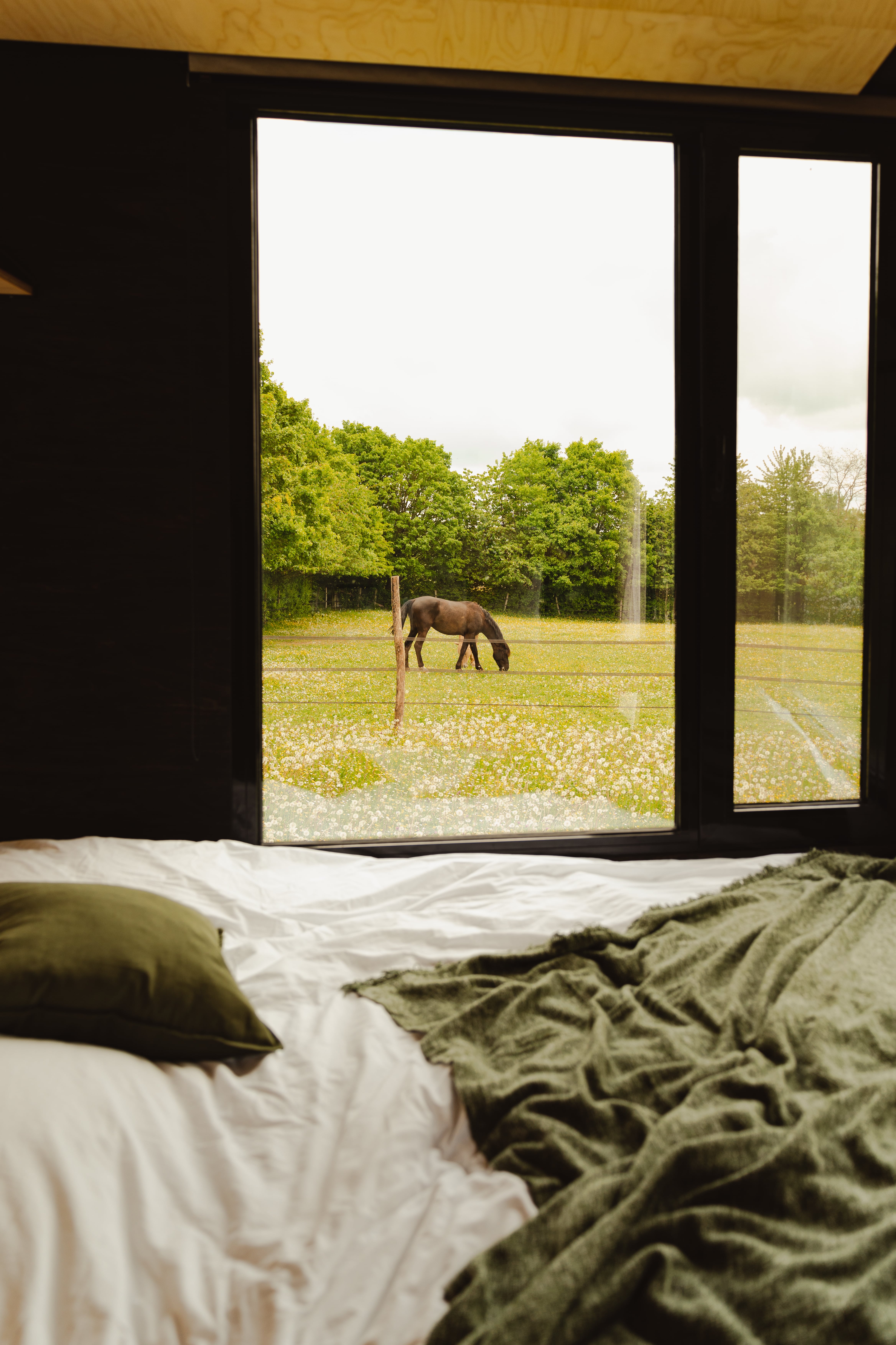 Une Tiny House au cœur du Perche, entre nature et chevaux à Dame-Marie — vue intérieure