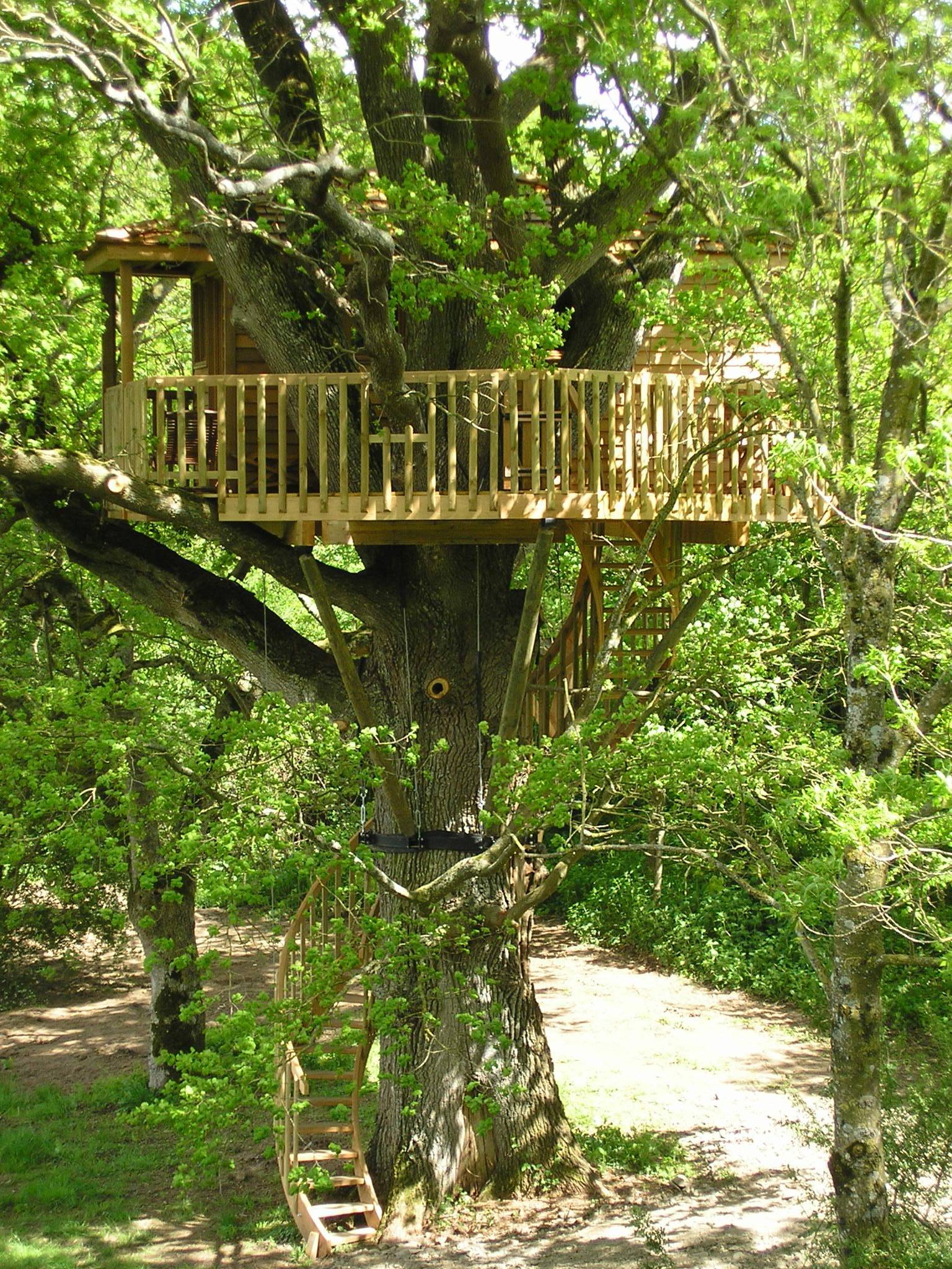 Bruit d'O — Cabane dans les arbres à 8m de hauteur en Maine-et-Loire à Sèvremoine — espace de vie