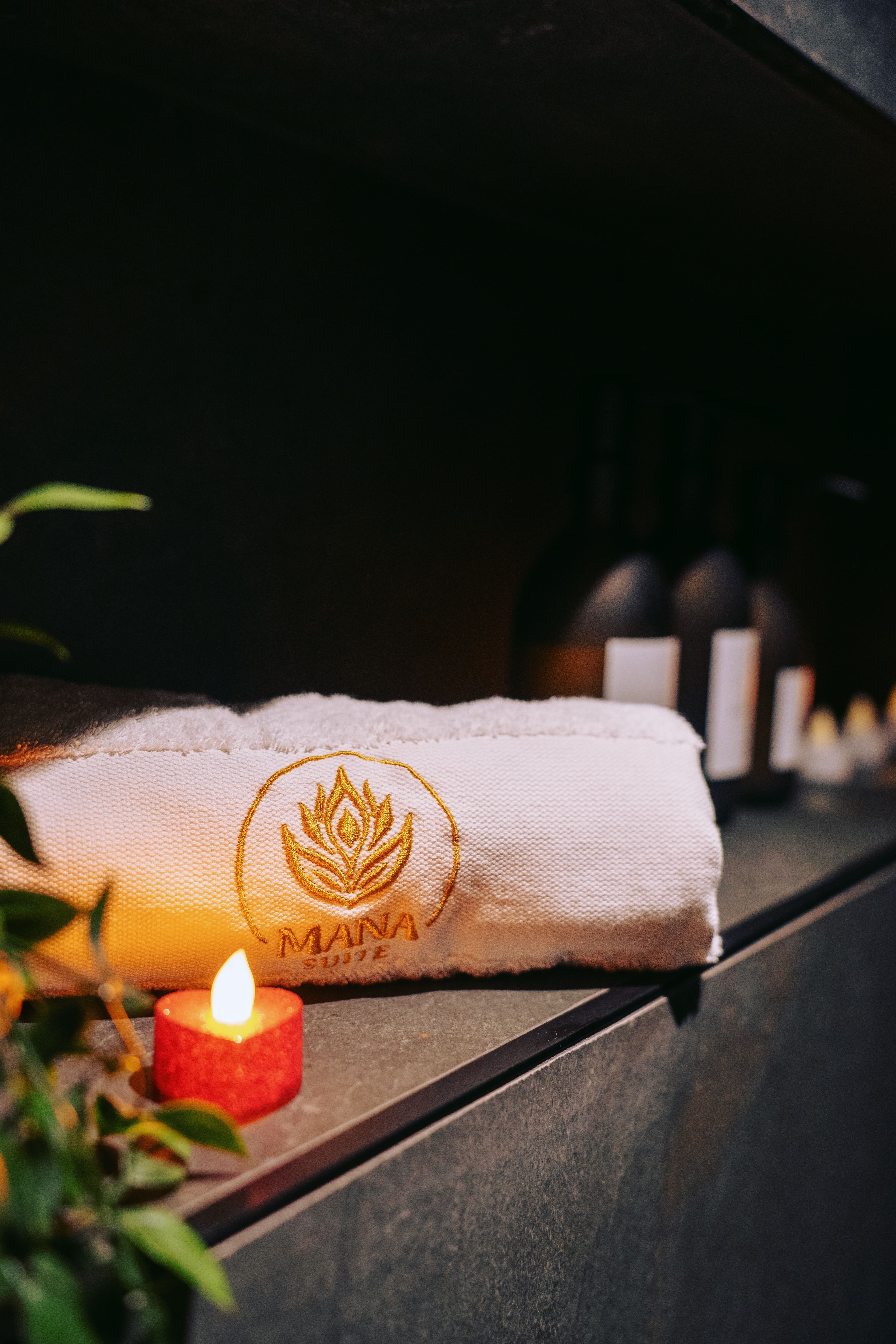 Mana Suite & Spa — Maison insolite avec spa à Tarare (Rhône) à Tarare — vue depuis la terrasse