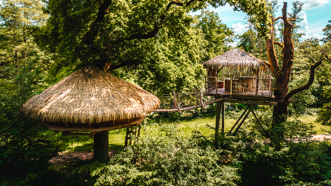 Cabane Spa Murmures : une évasion dans les arbres