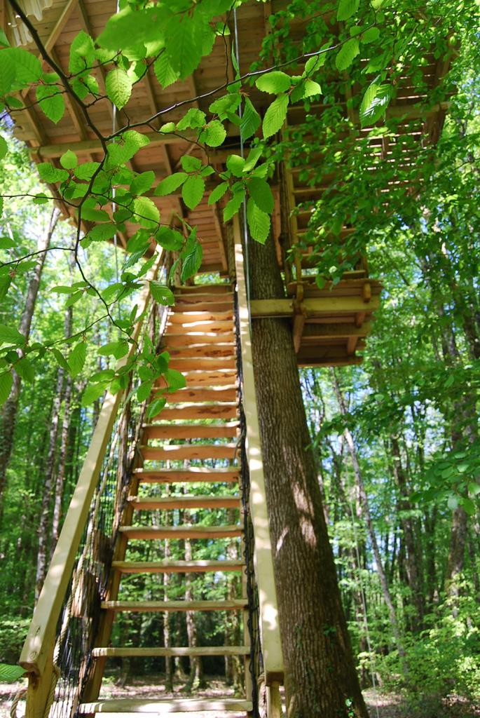 Évasion dans la Cabane de la Belle : un refuge dans les arbres à Magné — espace de vie
