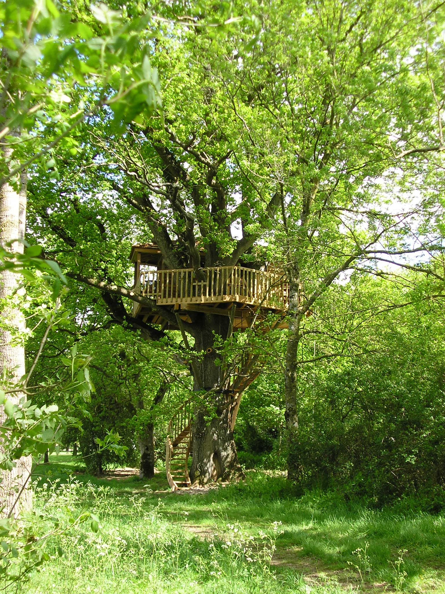 Bruit d'O — Cabane dans les arbres à 8m de hauteur en Maine-et-Loire à Sèvremoine — vue depuis la terrasse