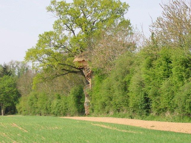 Cabane dans les arbres en Basse-Normandie : une immersion dans la nature à Moulicent — vue intérieure