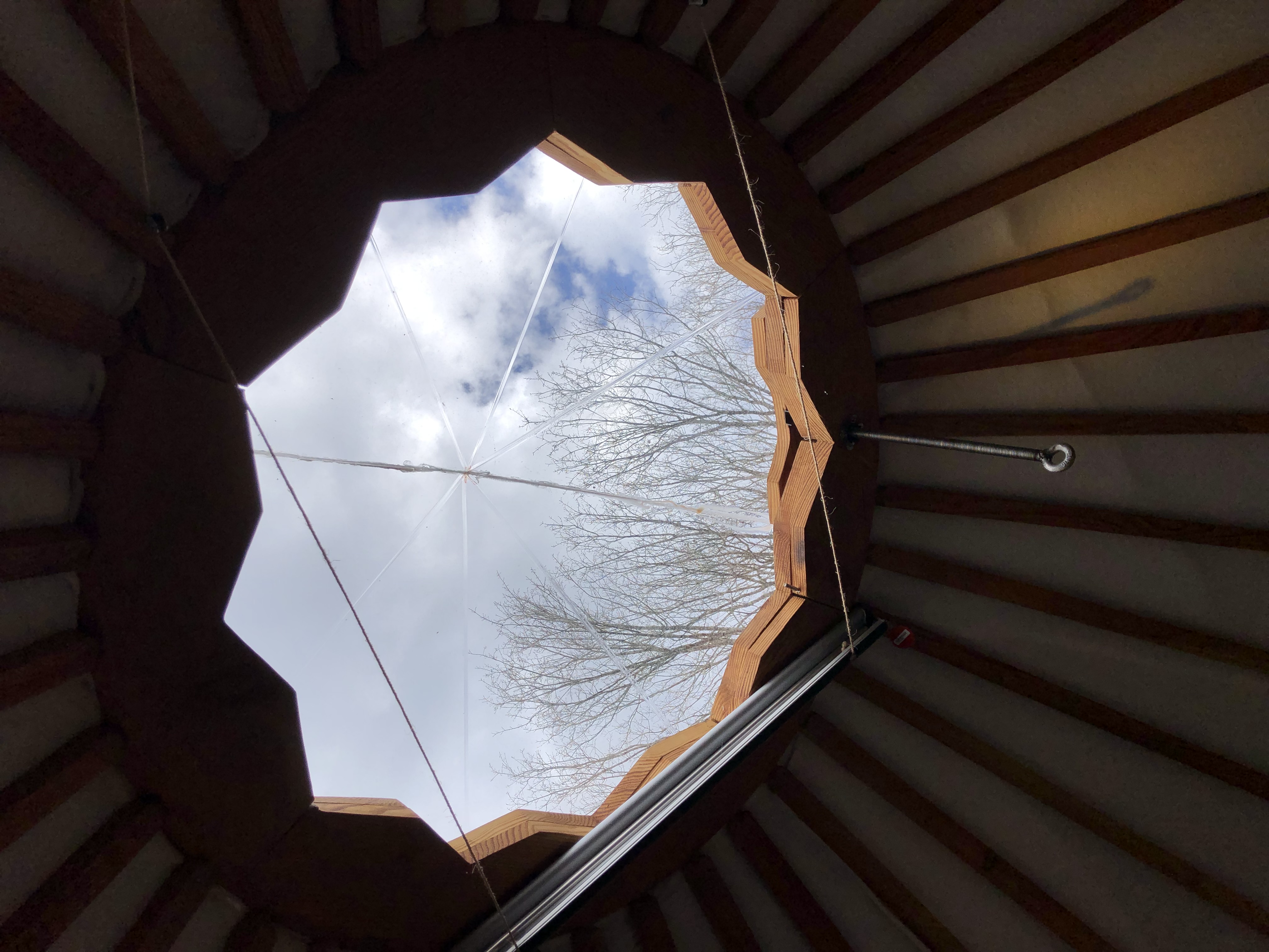 Évasion dans une yourte climatisée en Aquitaine à Grignols — environnement naturel
