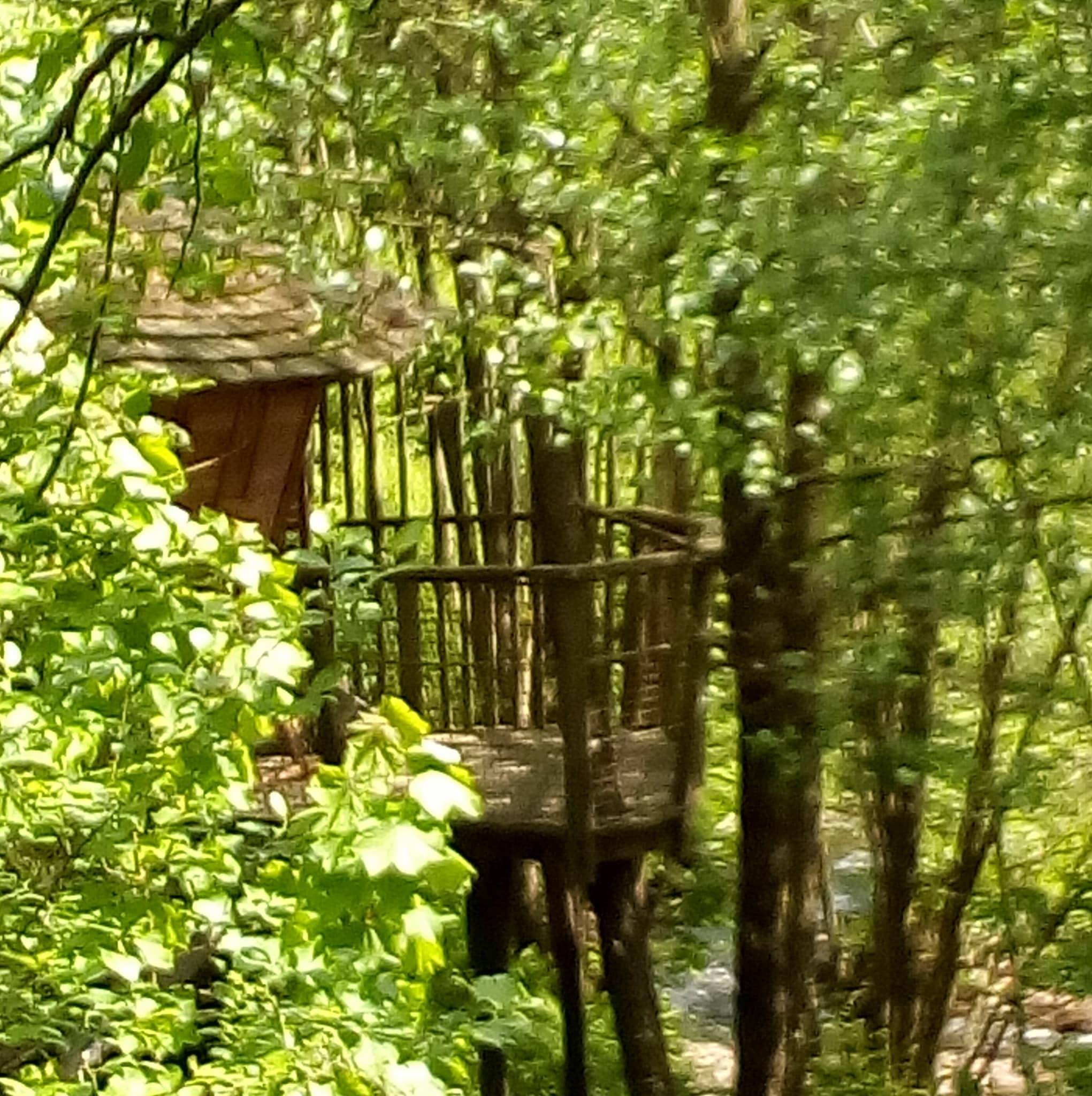 Cabane sur pilotis au fil de l'eau en Alsace à Grandfontaine — chambre