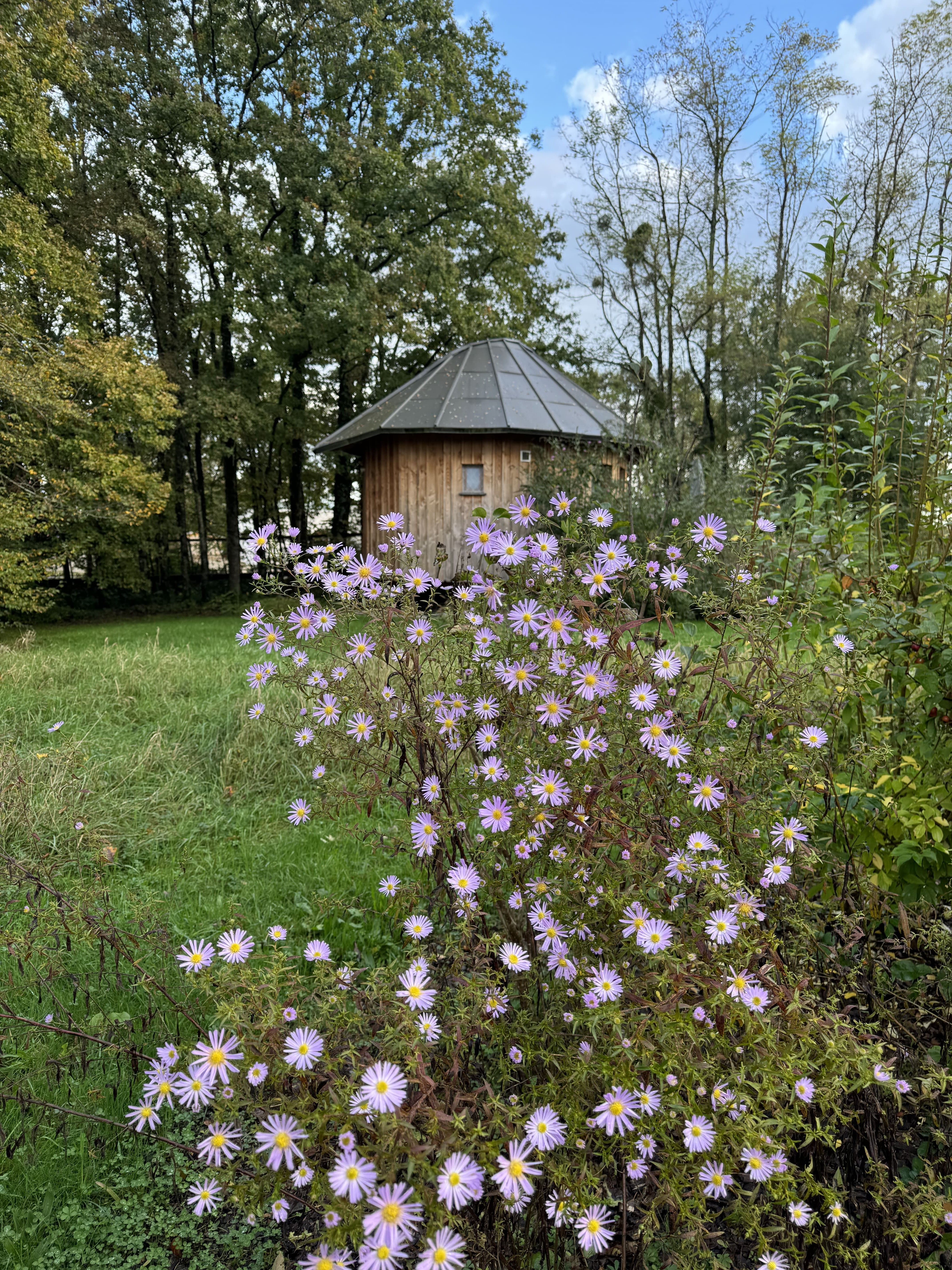 Le P'tiot Utau — Cabane dans les arbres avec spa à Jura à Lons-Le-Saunier Cedex — chambre