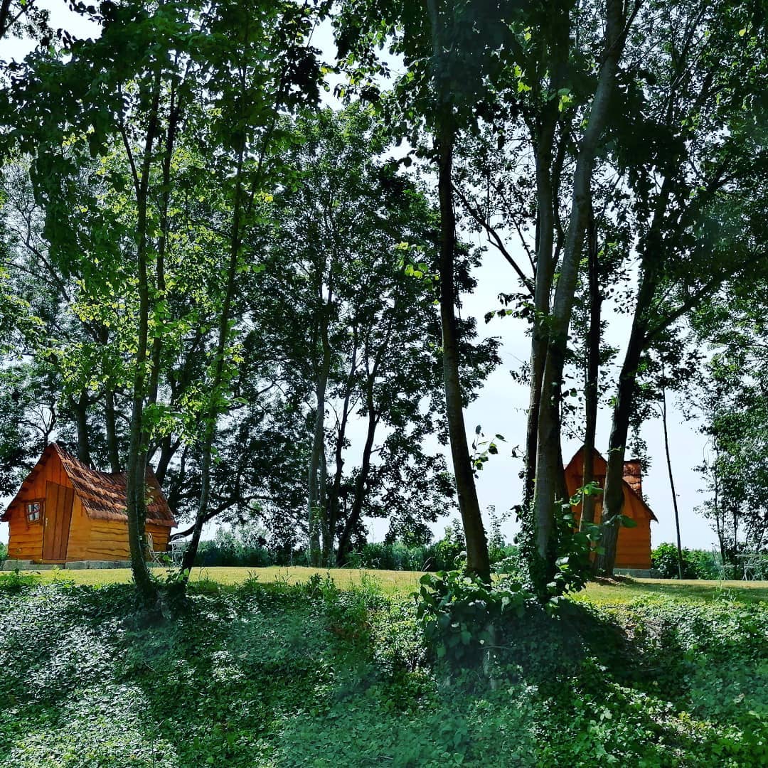 Grande Cabane de la Gare — Séjour relaxant avec spa à Lurey (Marne) à Esclavolles-Lurey — vue intérieure