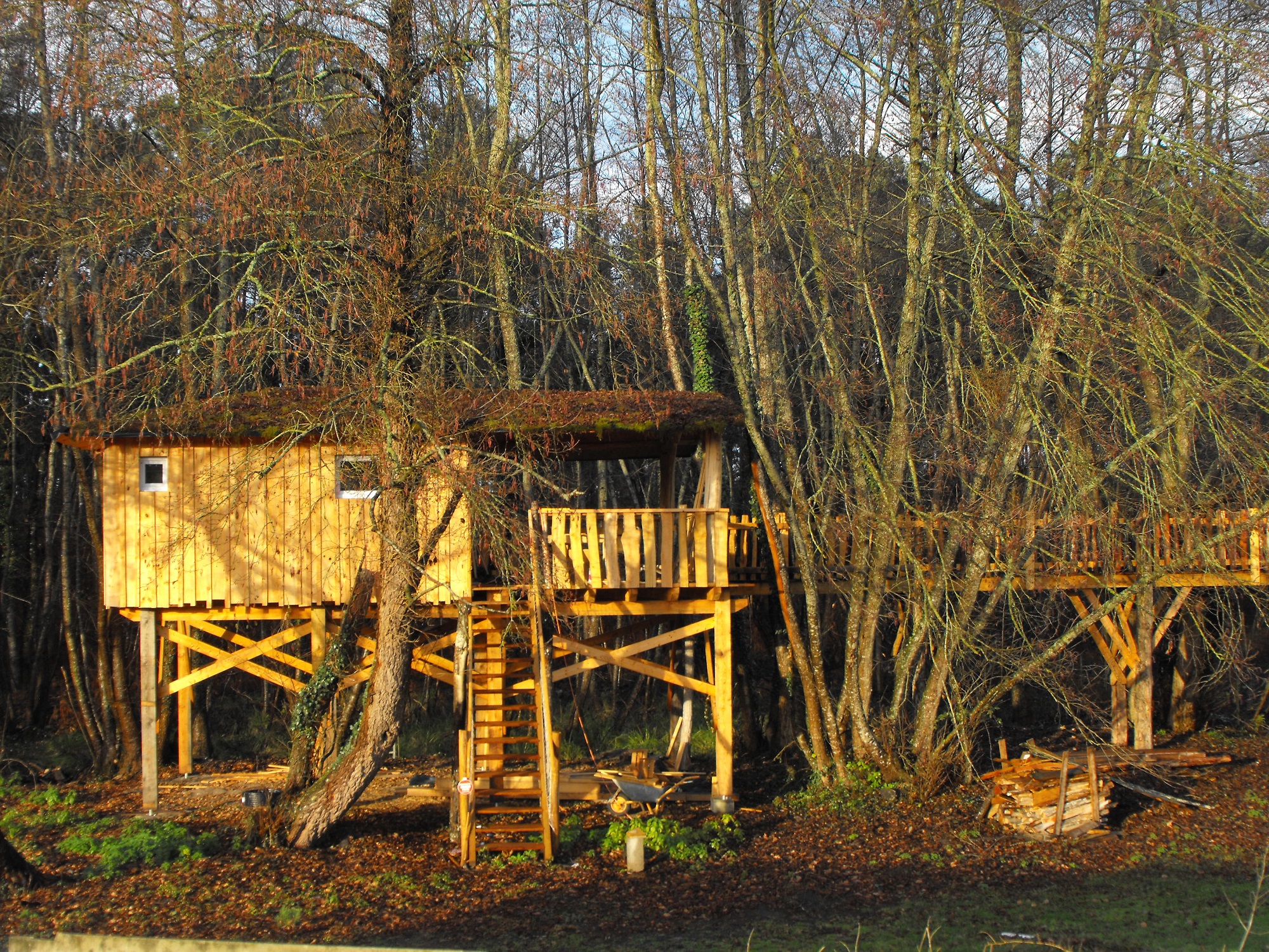 Cabane des Cerfs : une expérience suspendue en Aquitaine