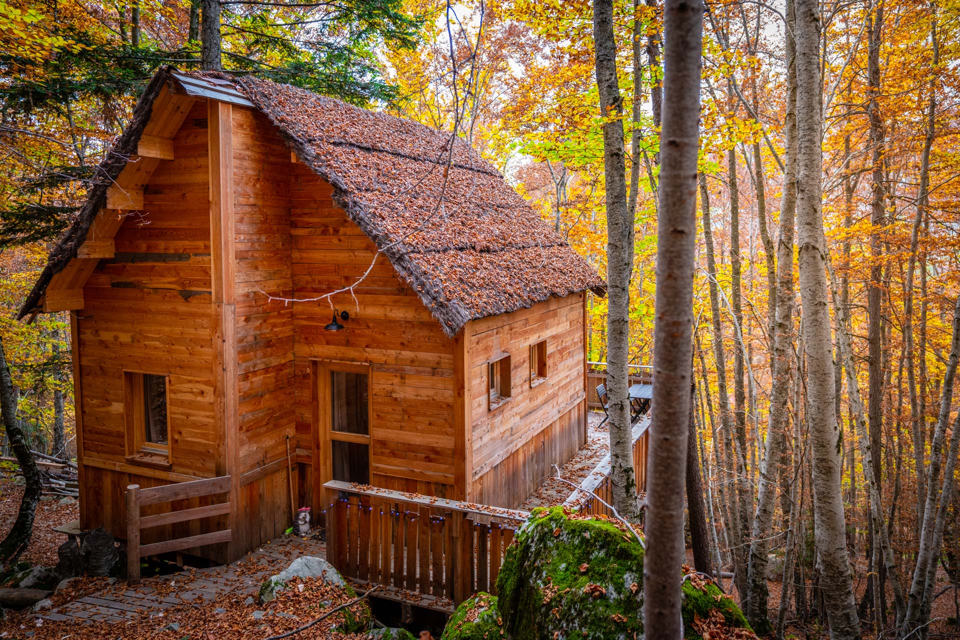 Cabane des Sylphes & Spa — Cabane sur pilotis avec spa à Saint-Léger (Hautes-Alpes) à Saint-Léger-les-Mélèzes — chambre