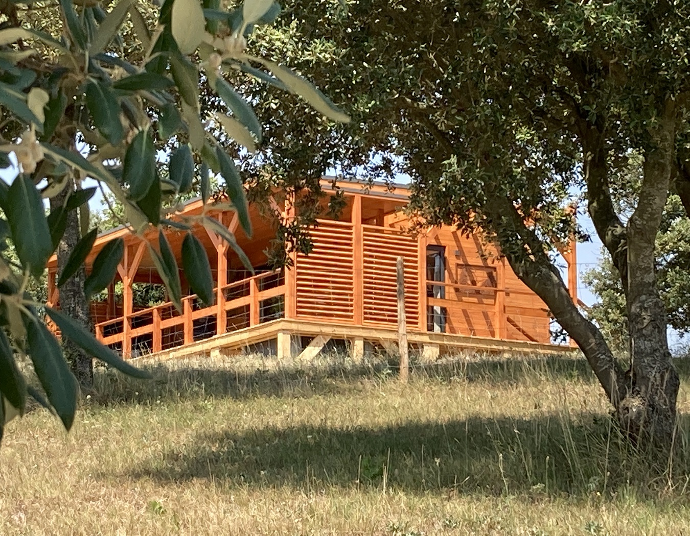 La Cabane perchée : un havre de paix en Languedoc-Roussillon à Villarzel Du Razès — chambre