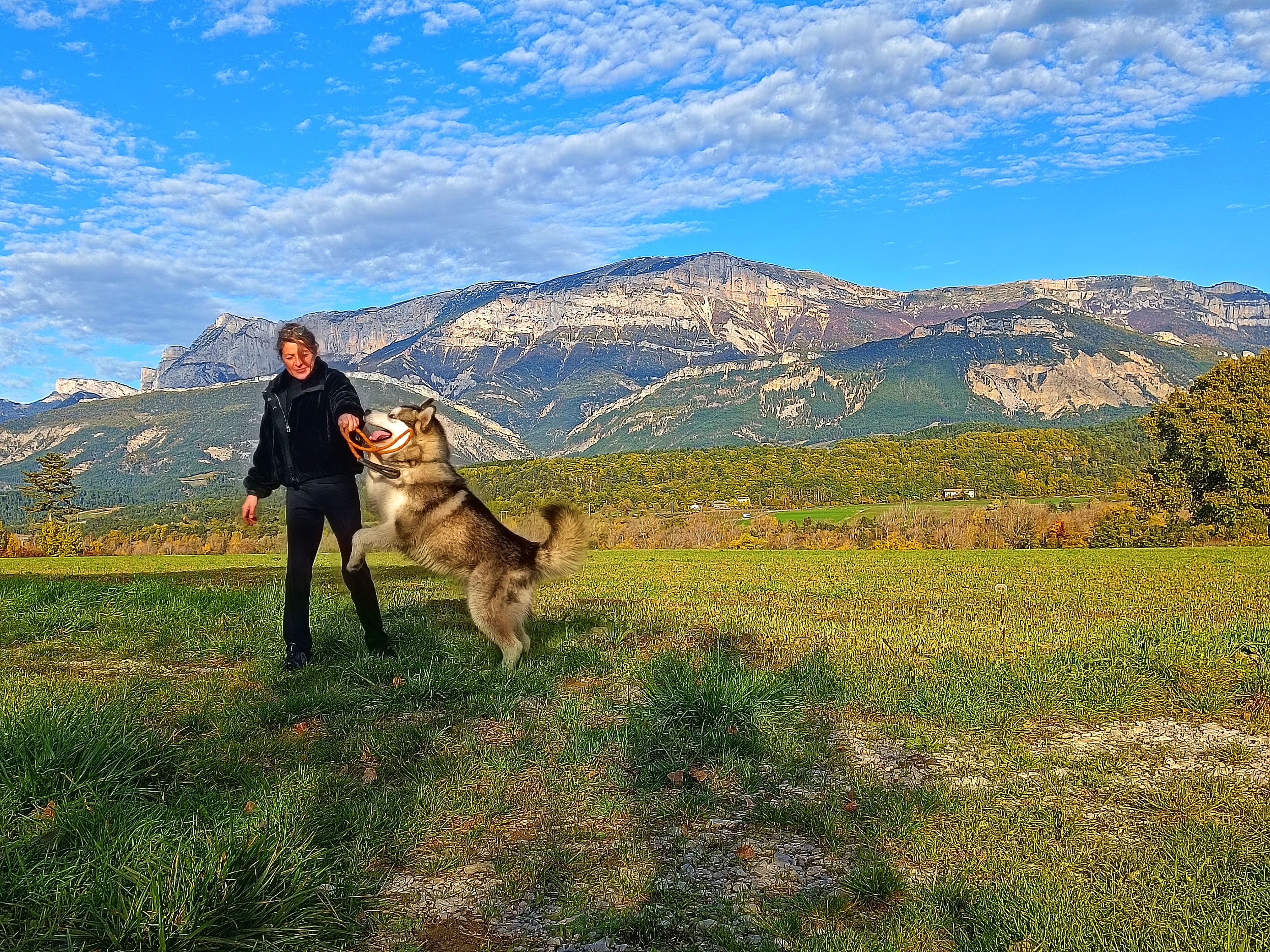 Roulotte face au Vercors — Séjour insolite avec terrasse à 2 pas de la Drôme à Loriol-sur-Drôme — environnement naturel