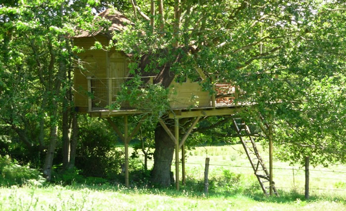 La cabane perchée Heol : une immersion dans les arbres bretons à Ploemel — vue intérieure