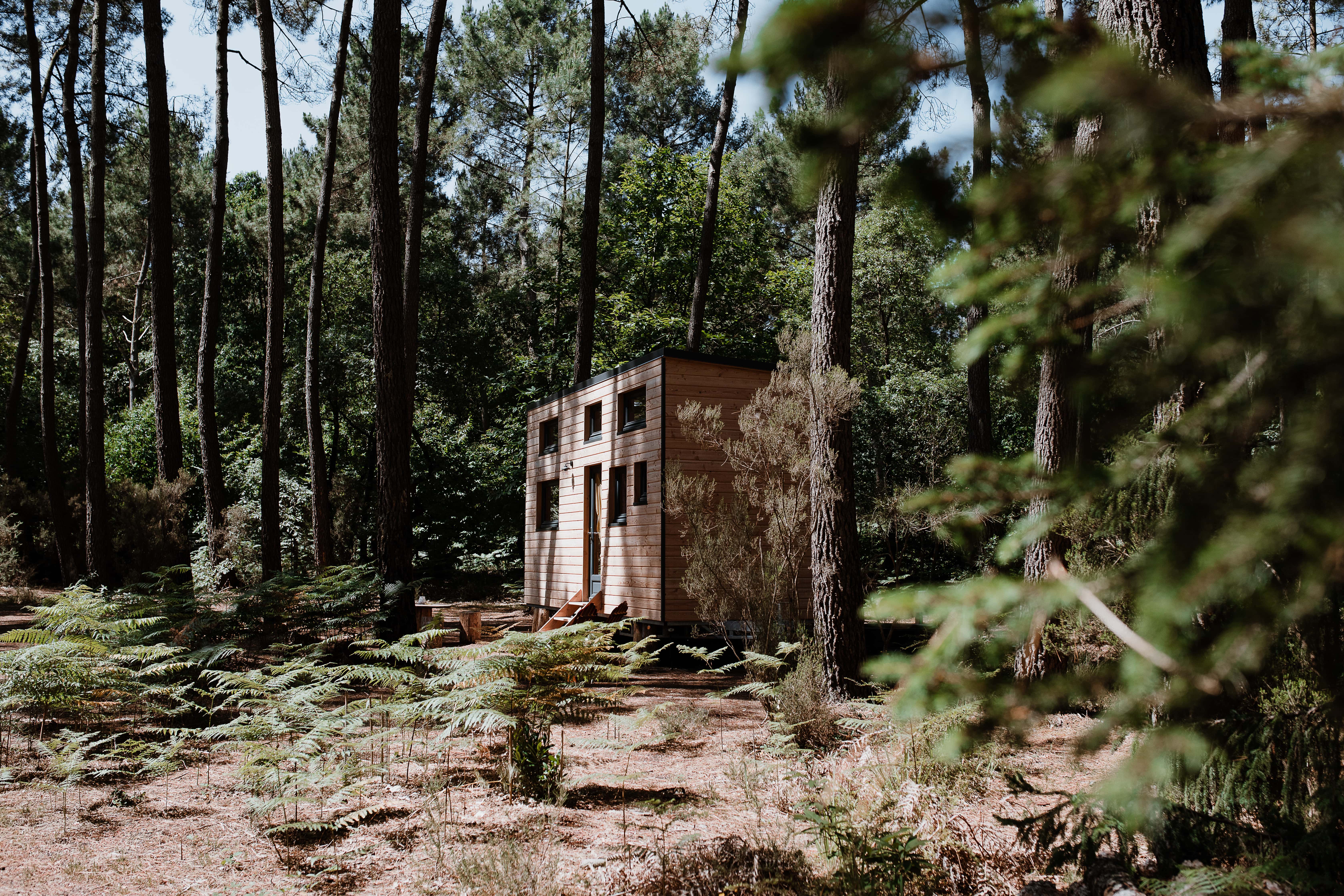 Tiny house La Quetsche : une évasion en pleine nature à Clefs-Val-D'anjou — vue intérieure
