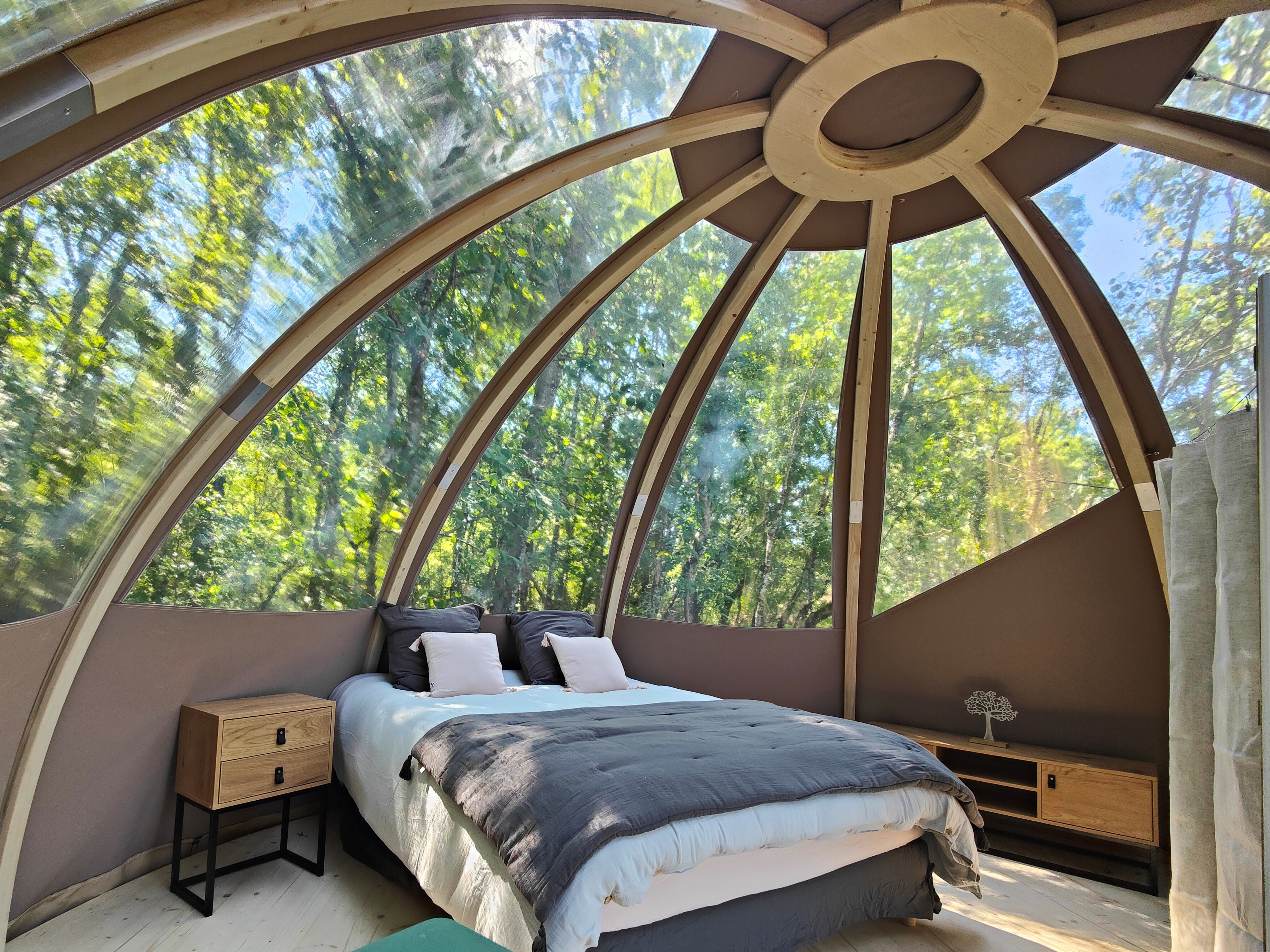 Dôme Cassiopée : une expérience immersive en pleine nature