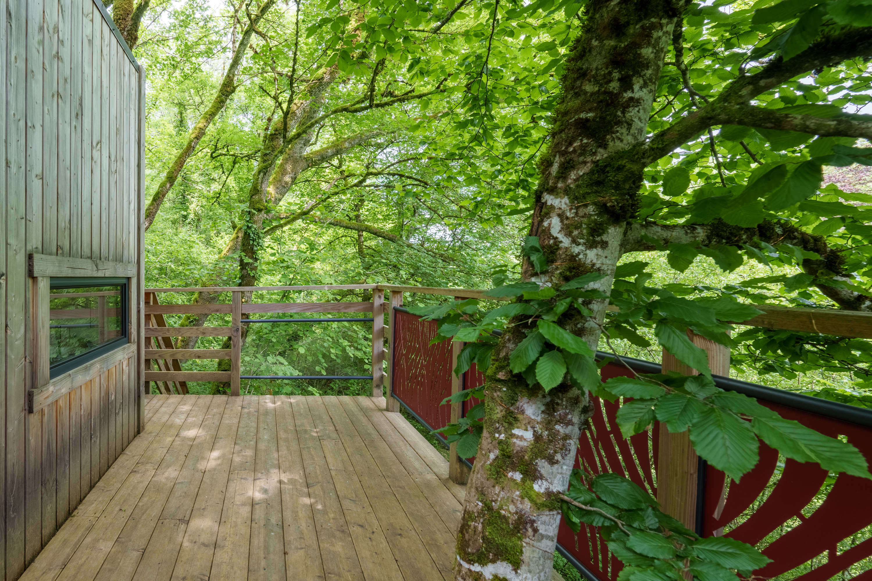 Cabane perchée Carpinus & Spa — Nuit romantique à 2m en Haute-Marne à Marnay-Sur-Marne — cuisine