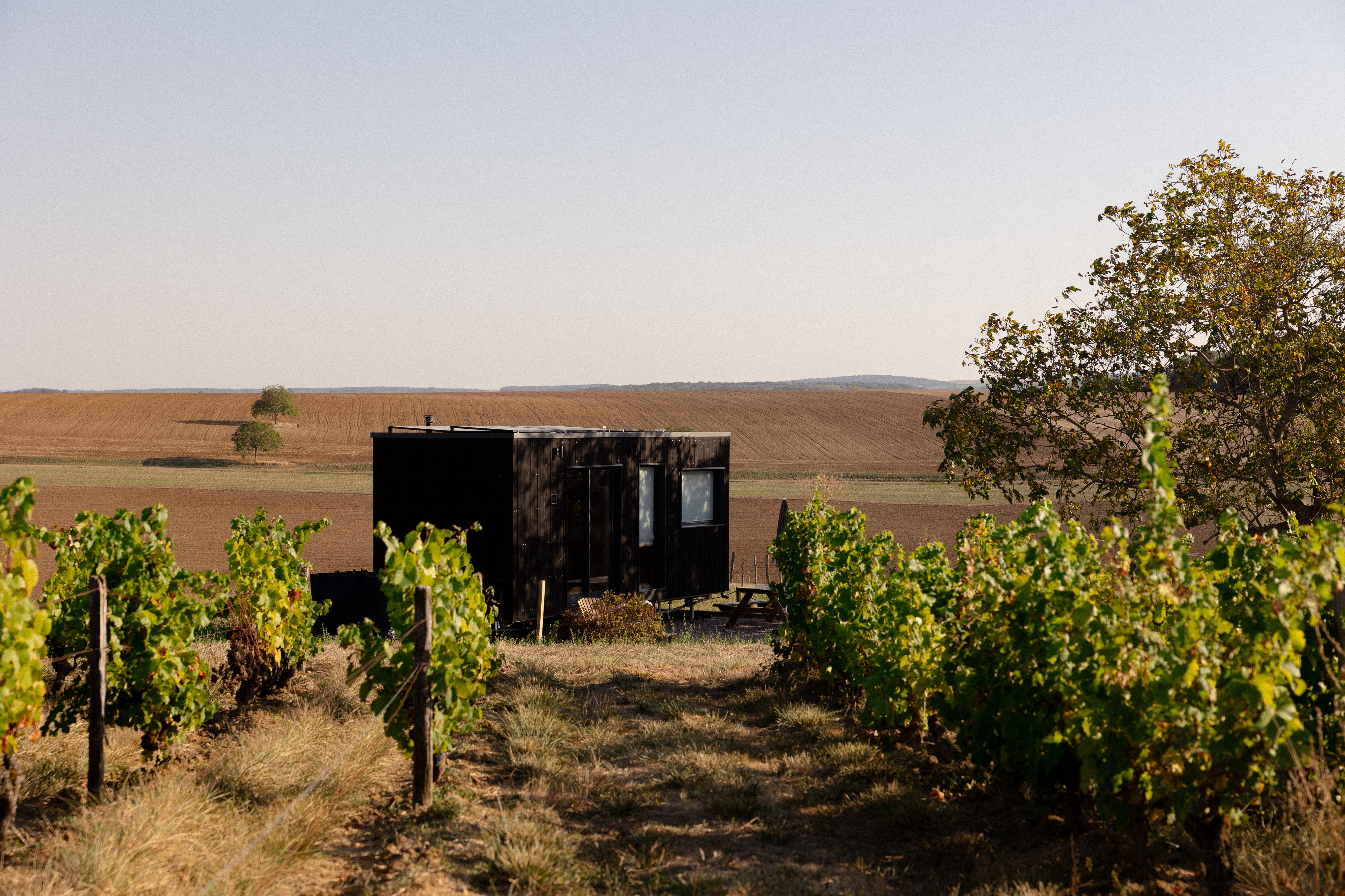 Tiny house moderne au cœur des vignes de Bourgogne
